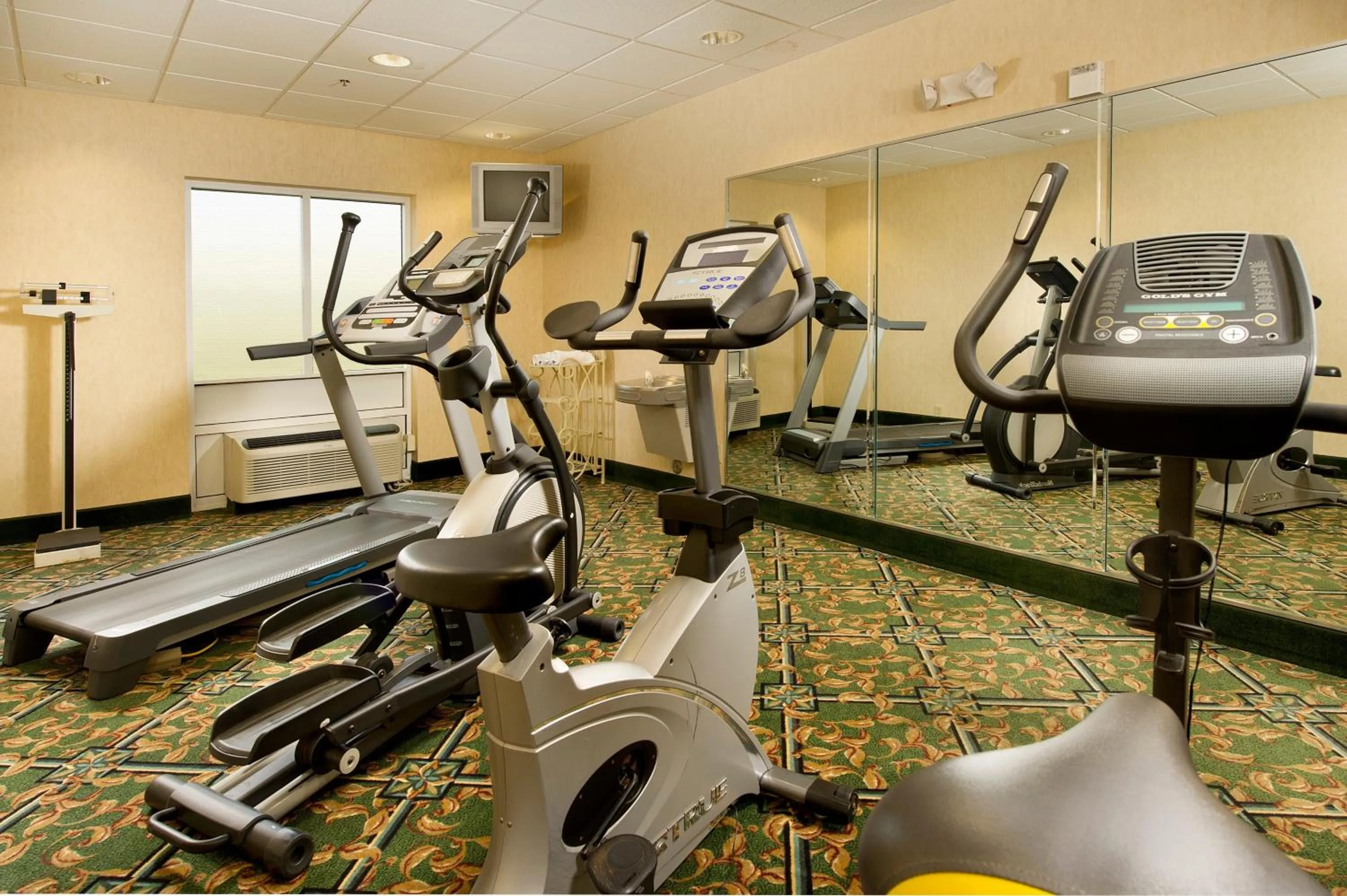 Fitness centre/facilities in Holiday Inn Express Hotel & Suites Lenoir City Knoxville Area by IHG