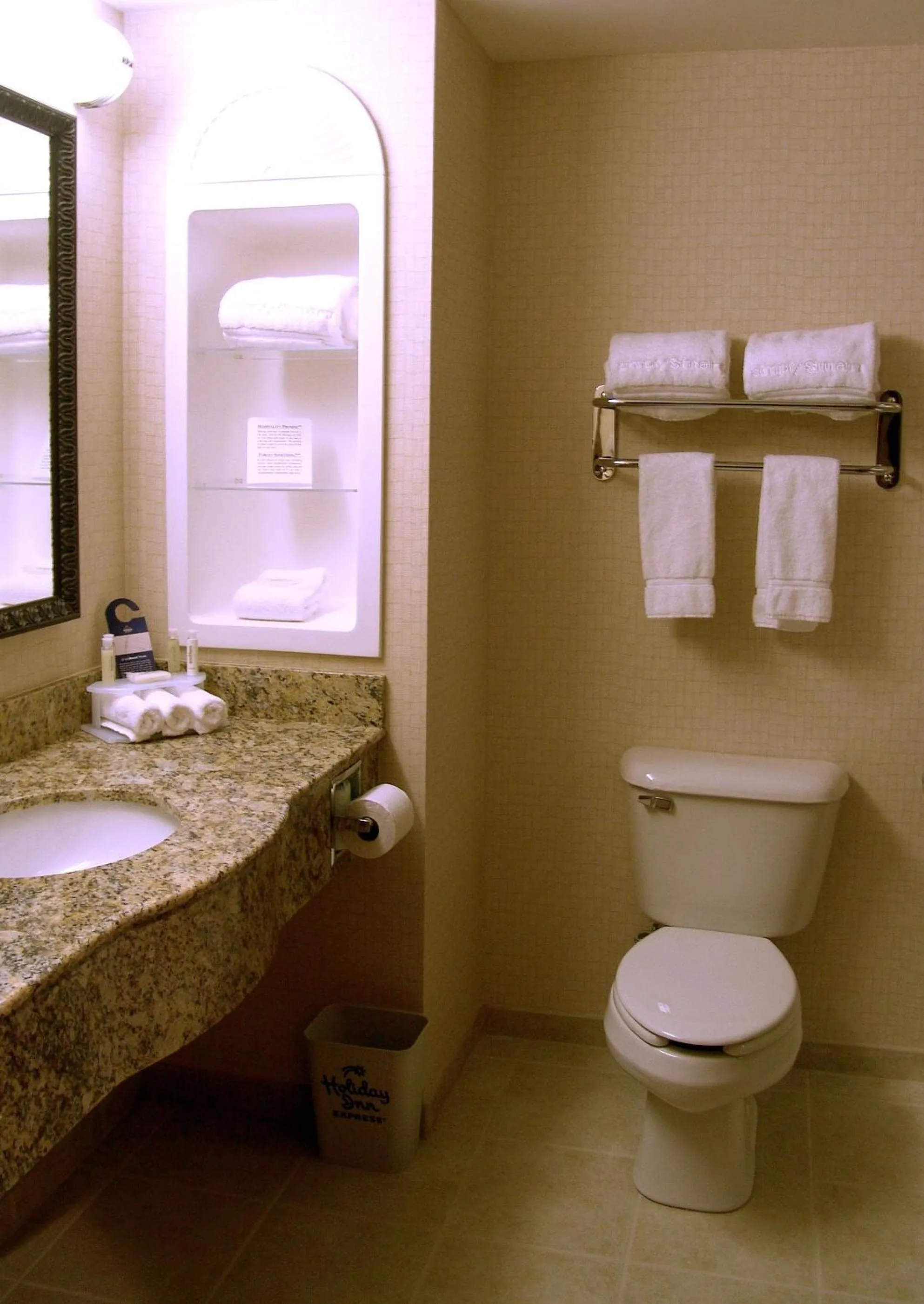Bathroom in Holiday Inn Express Hotel & Suites Rochester by IHG