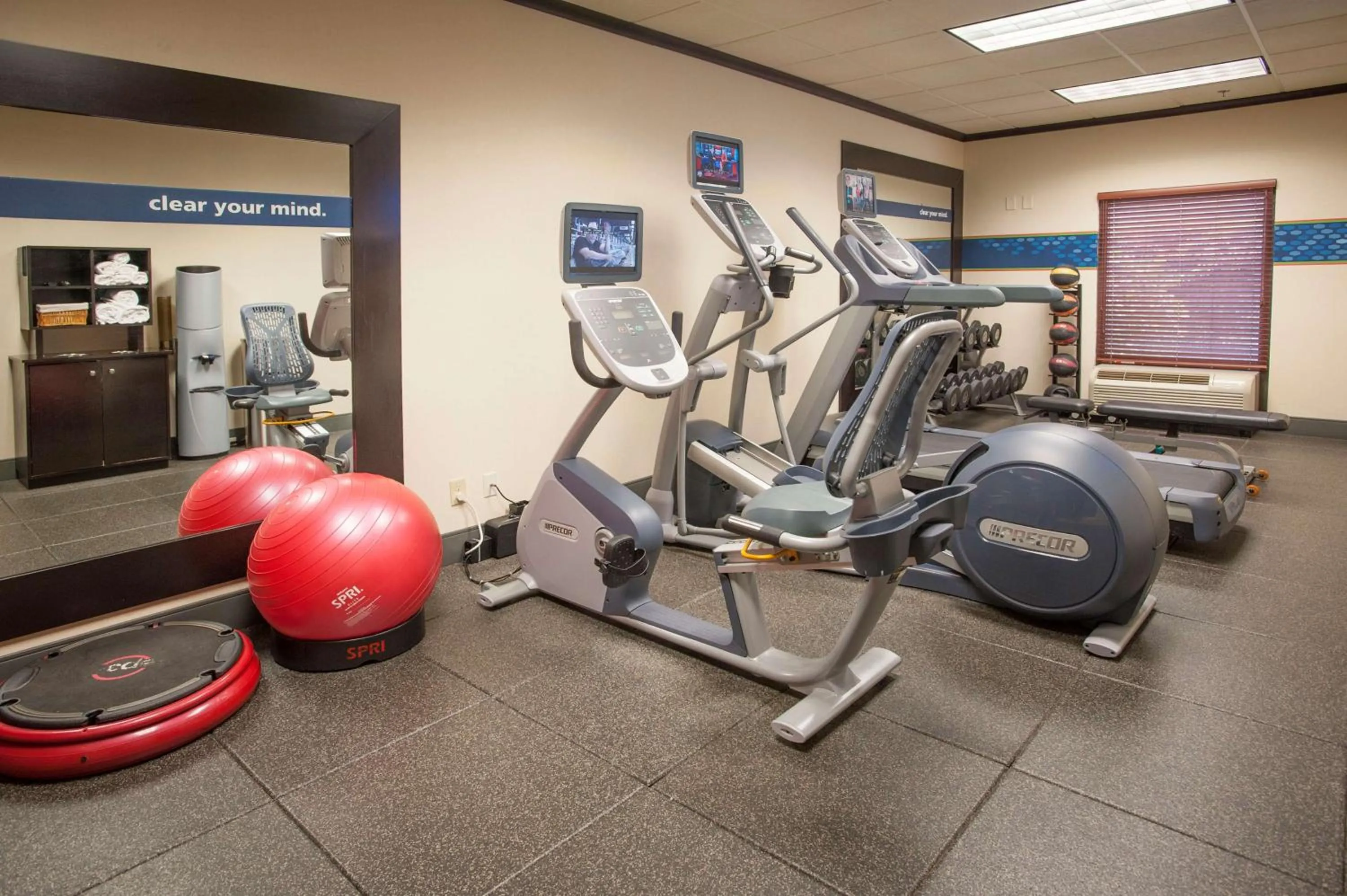 Fitness centre/facilities in Hampton Inn & Suites Mobile Providence Park/Airport