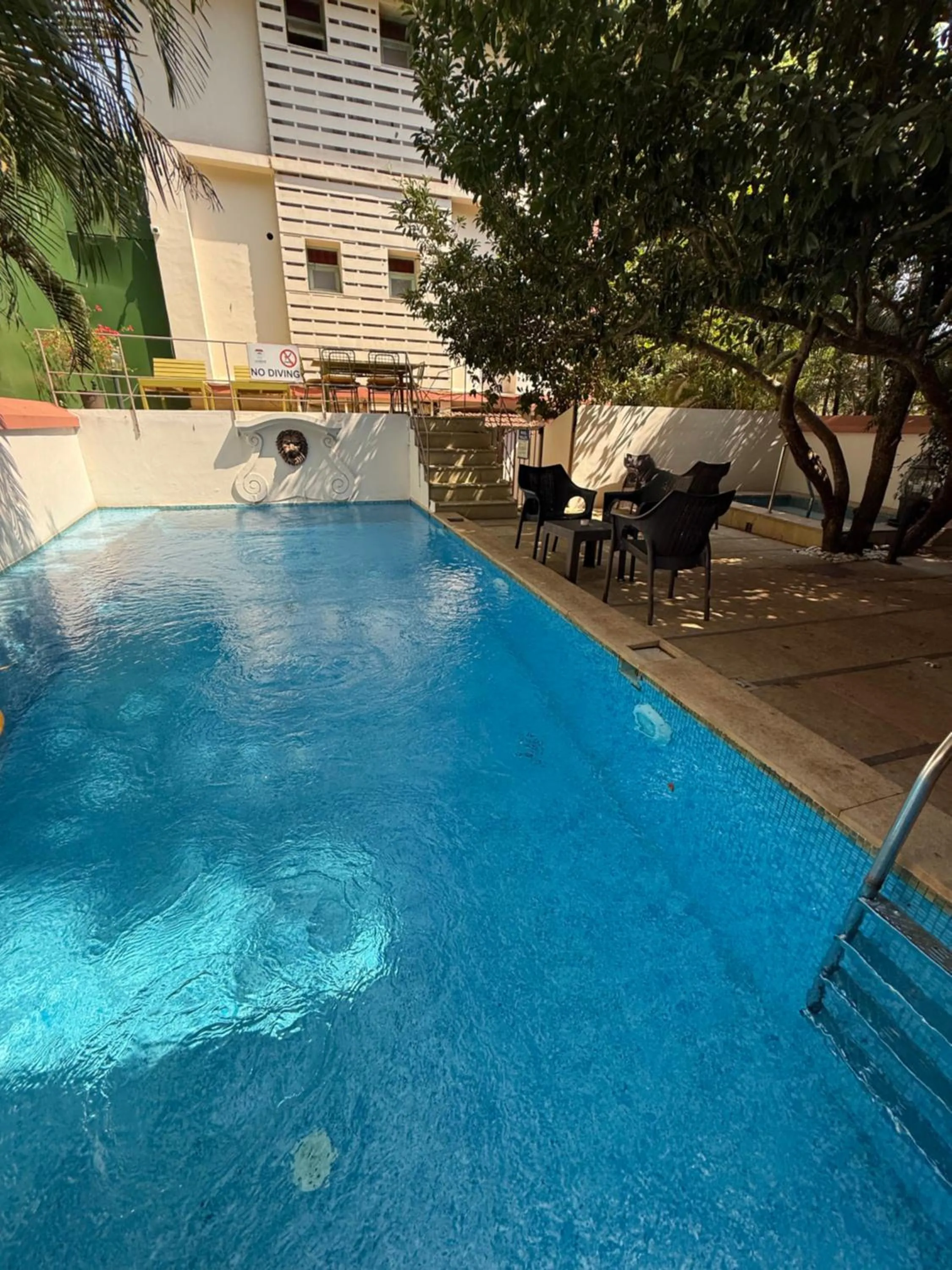 Swimming pool in Lar Amorosa Boutique Hotel - Goa