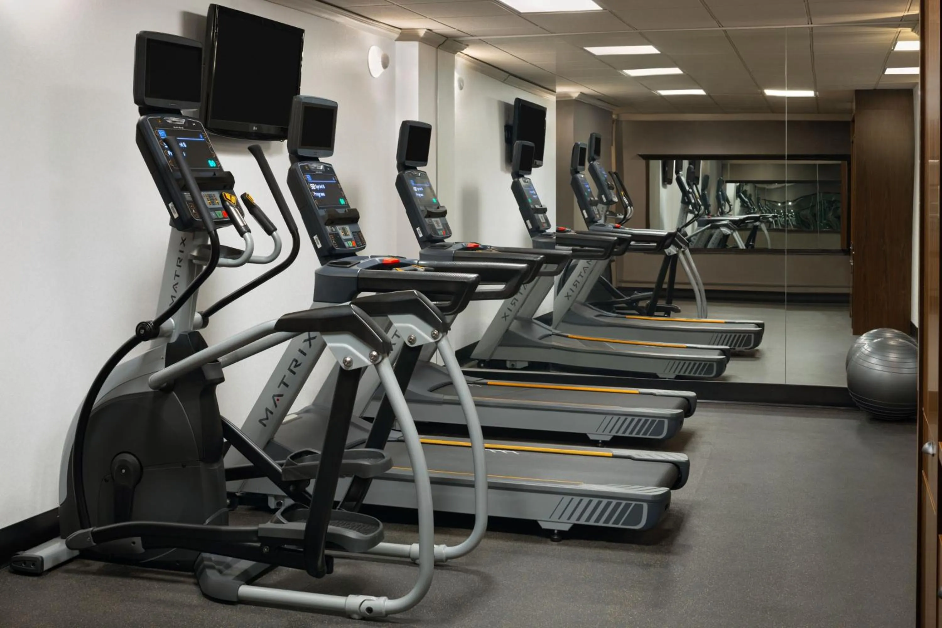 Fitness centre/facilities in Four Points by Sheraton Edmonton South