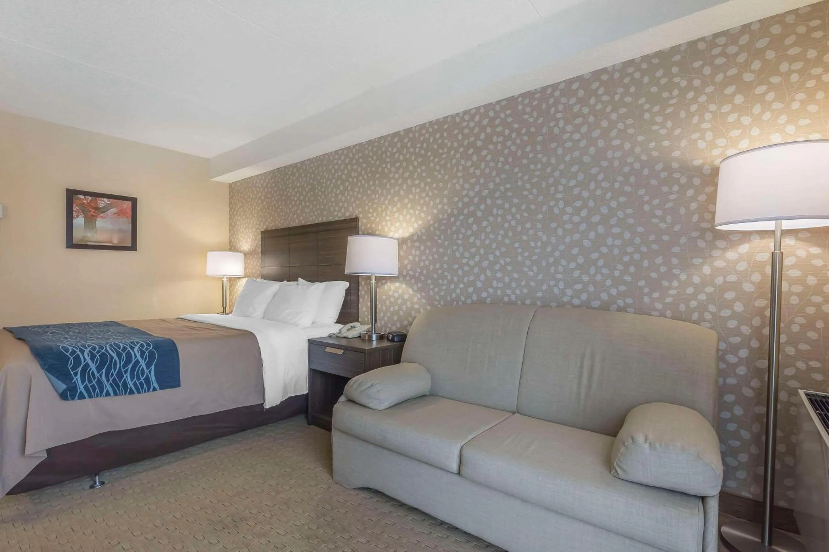 Bedroom, Bed in Comfort Inn