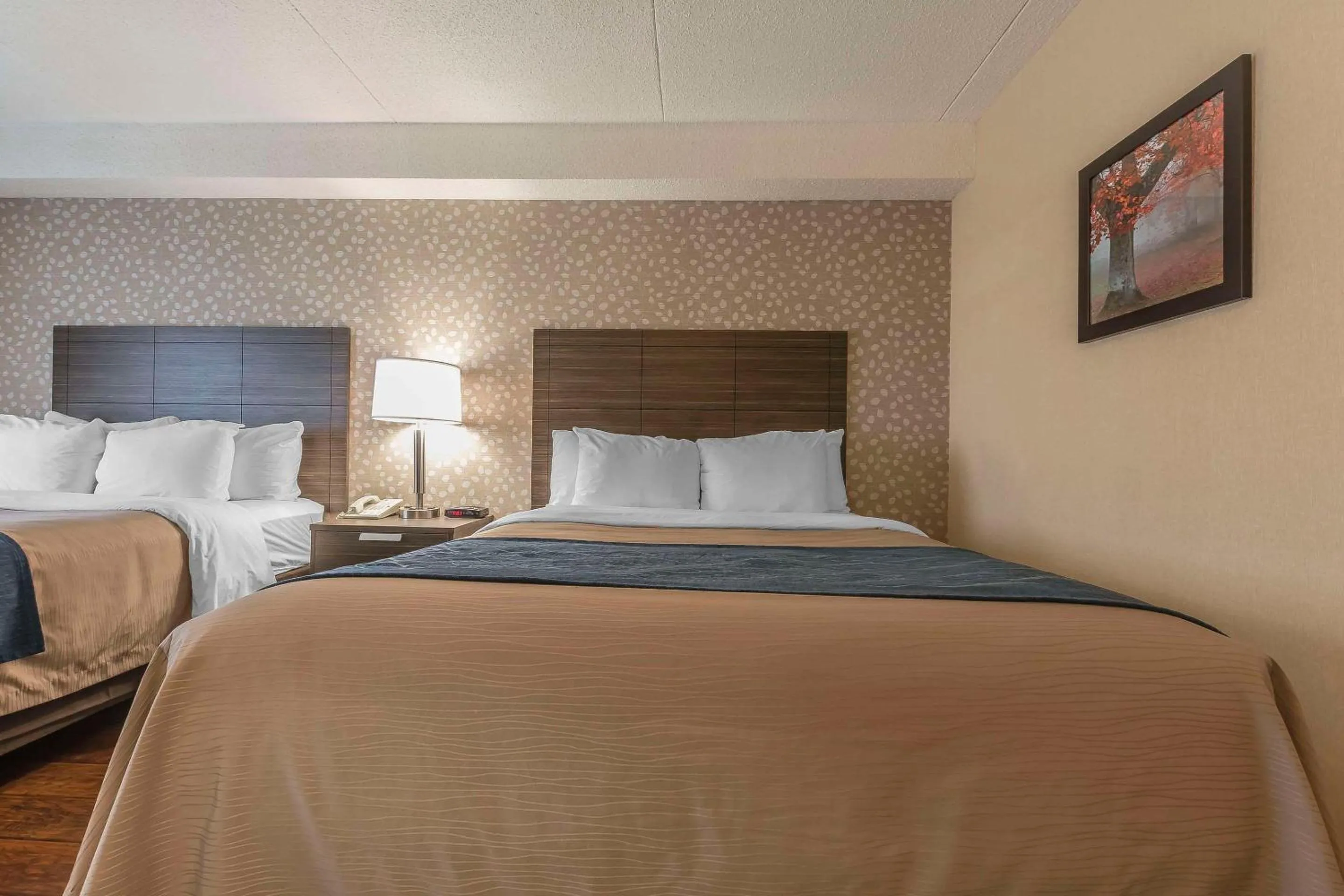 Bedroom, Bed in Comfort Inn