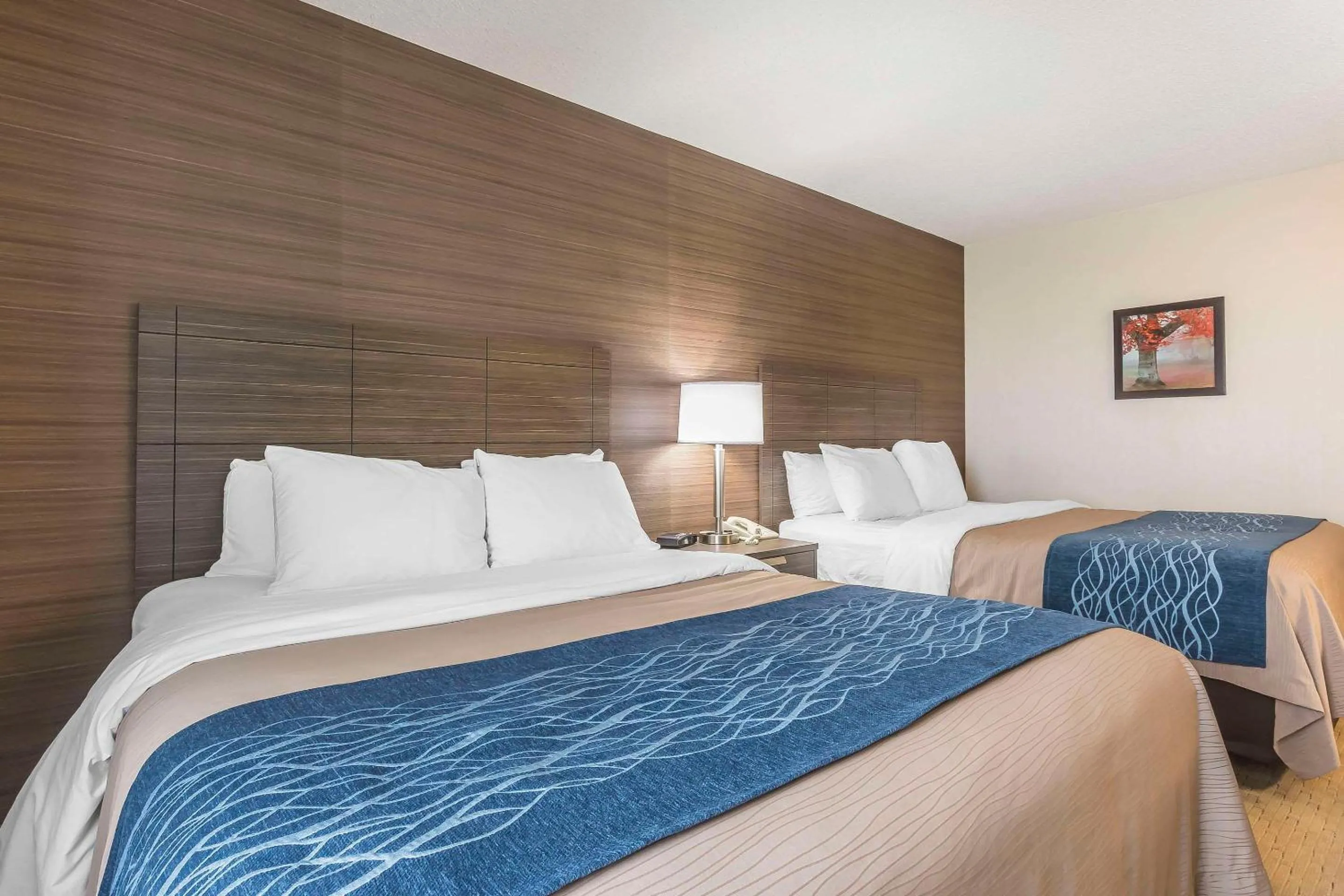 Bedroom, Bed in Comfort Inn