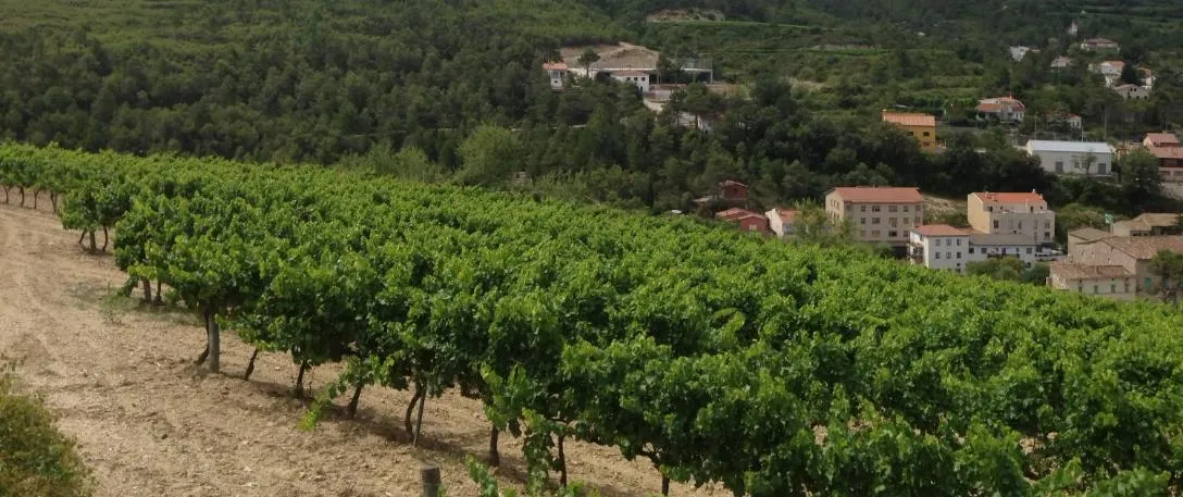 Other in El Molí de Pontons suites con jacuzzi spa