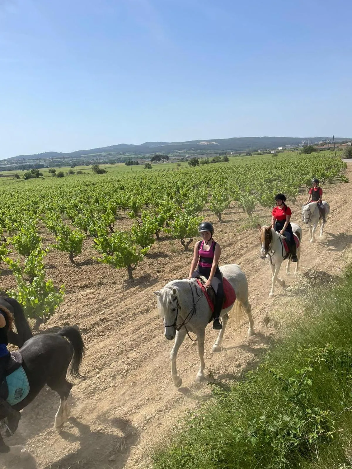 View (from property/room) in El Molí de Pontons suites con jacuzzi spa