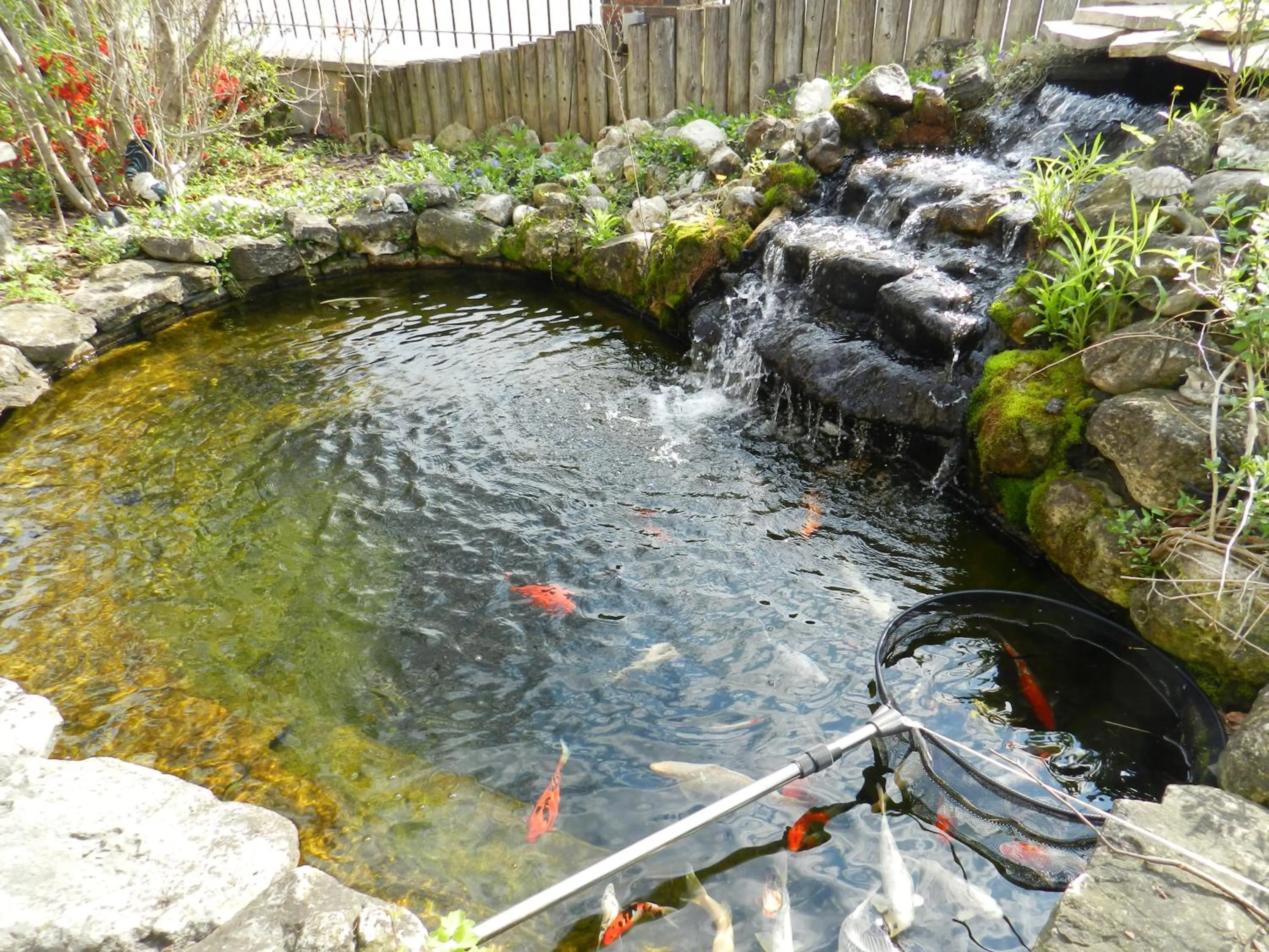 Natural landscape in Capri Inn