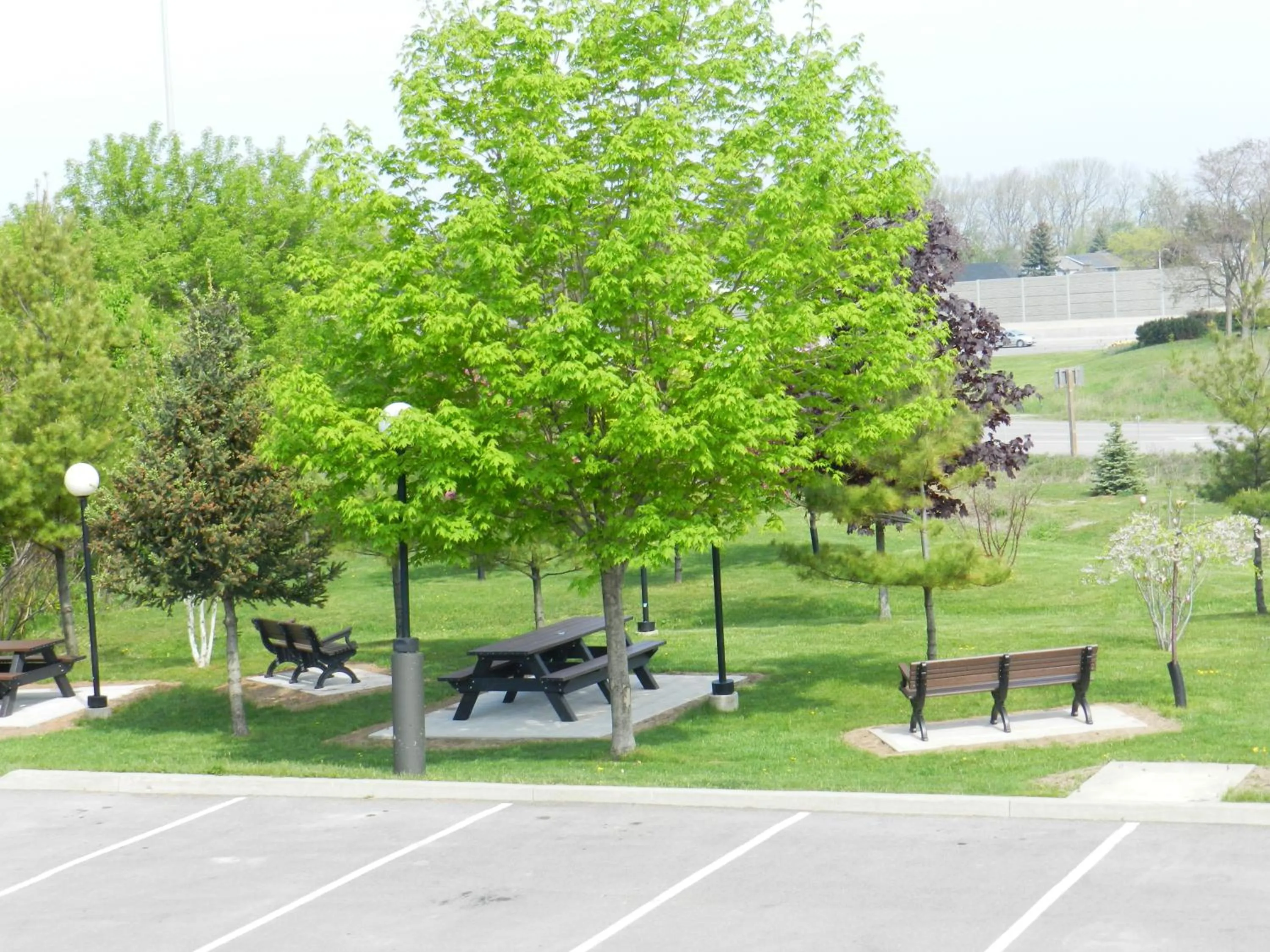 Garden view in Capri Inn
