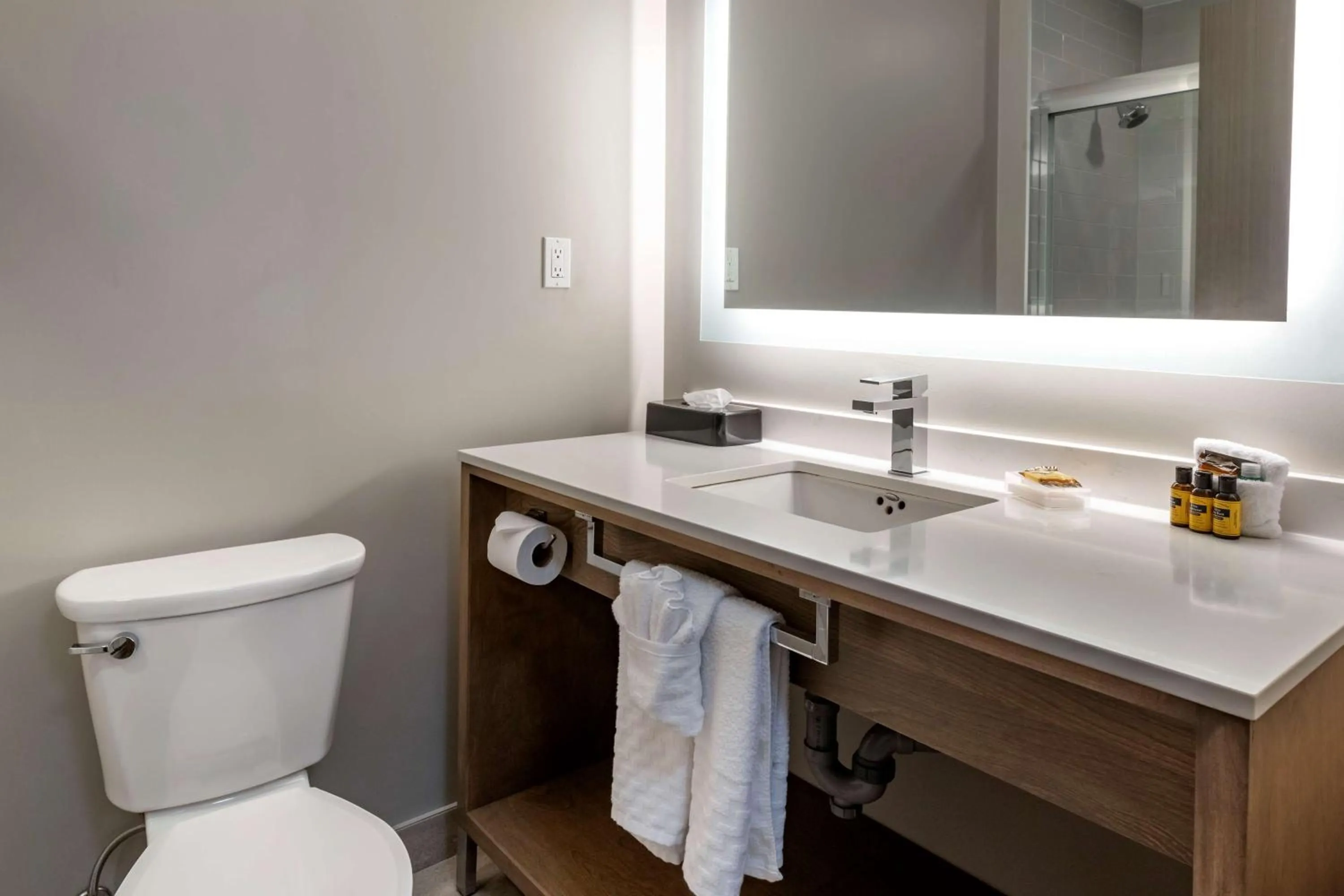 Bathroom in Best Western Dartmouth Hotel & Suites