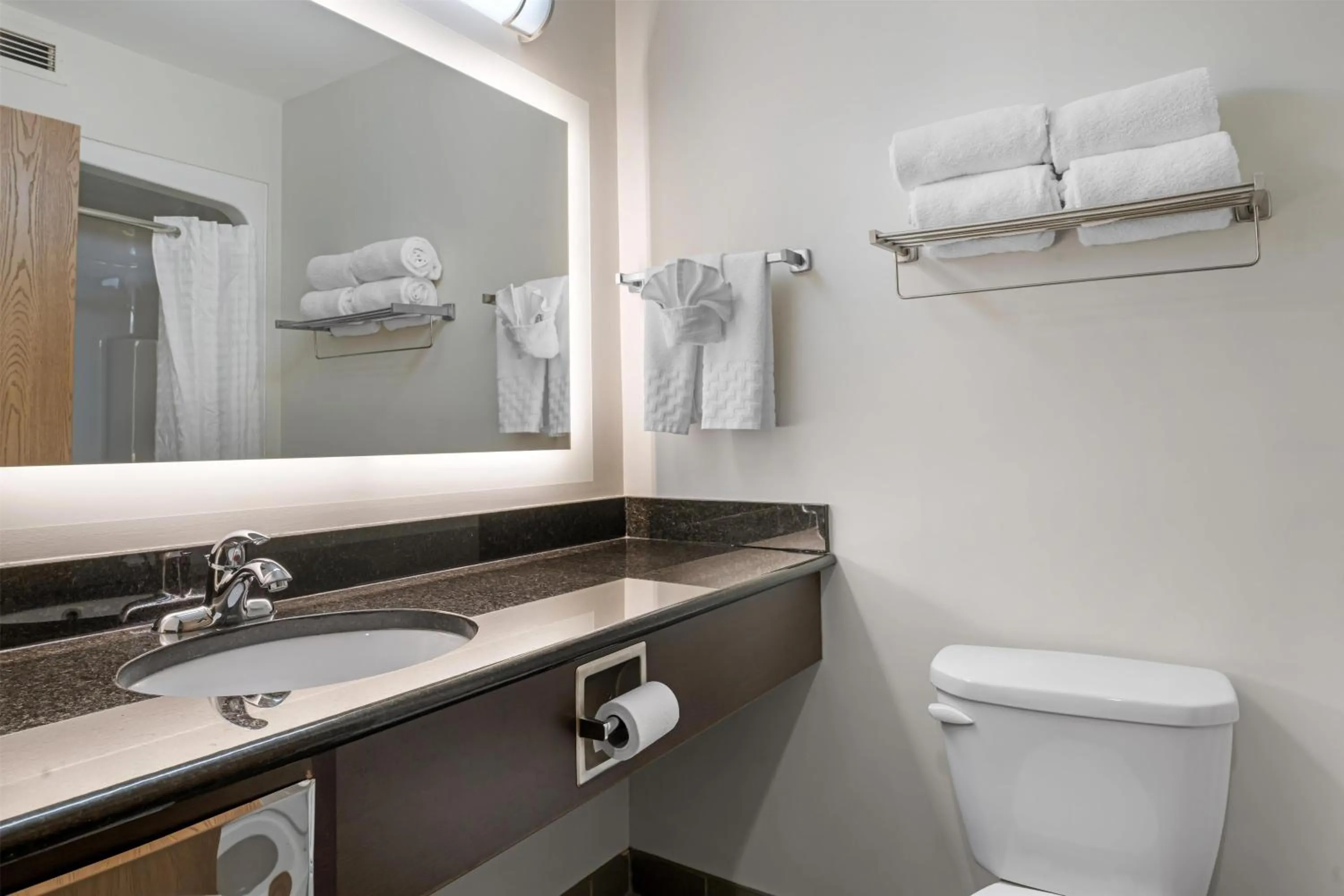 Bathroom in Best Western Plus Dartmouth Hotel & Suites