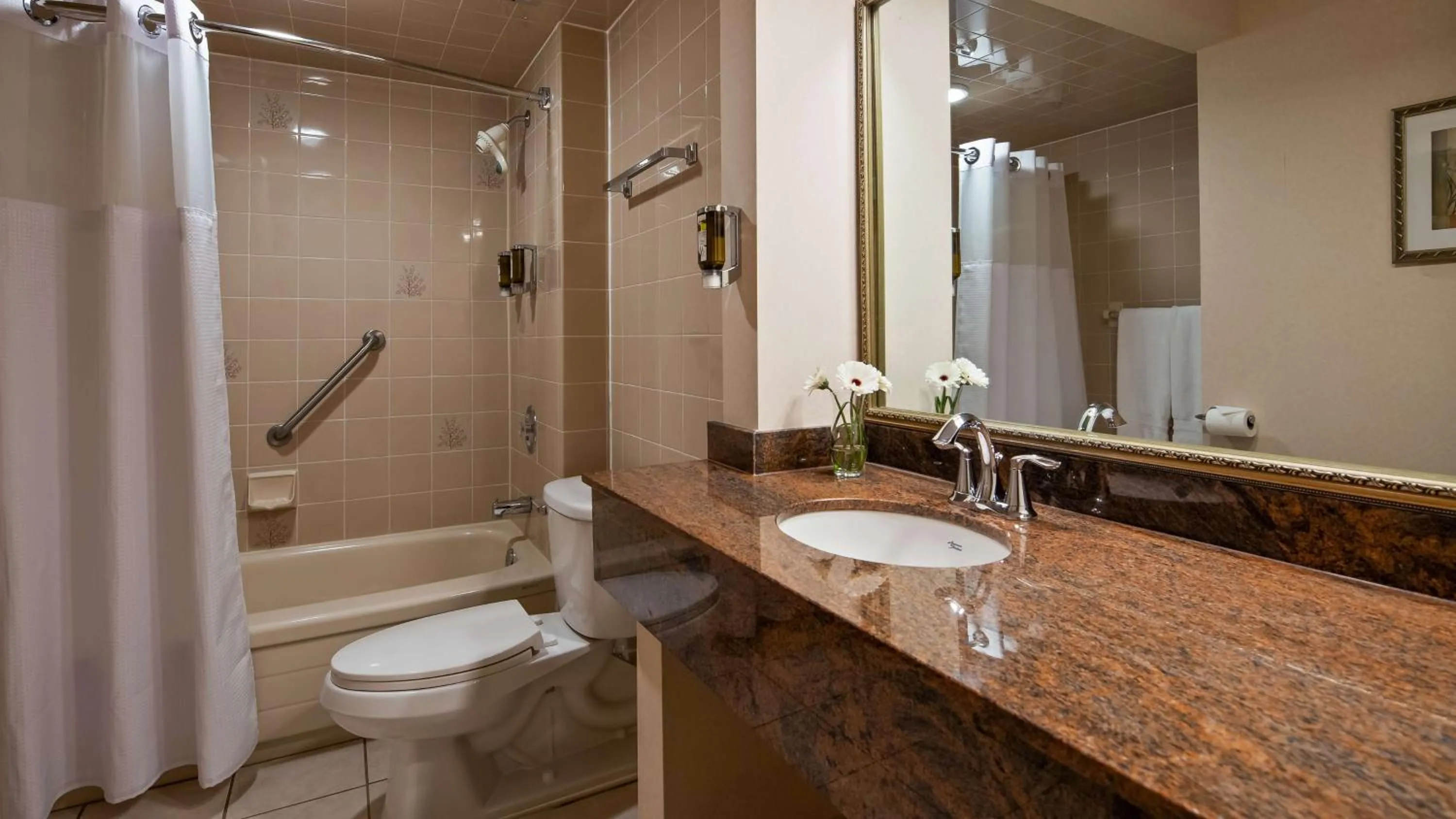 Photo of the whole room in Best Western Plus Ottawa City Centre