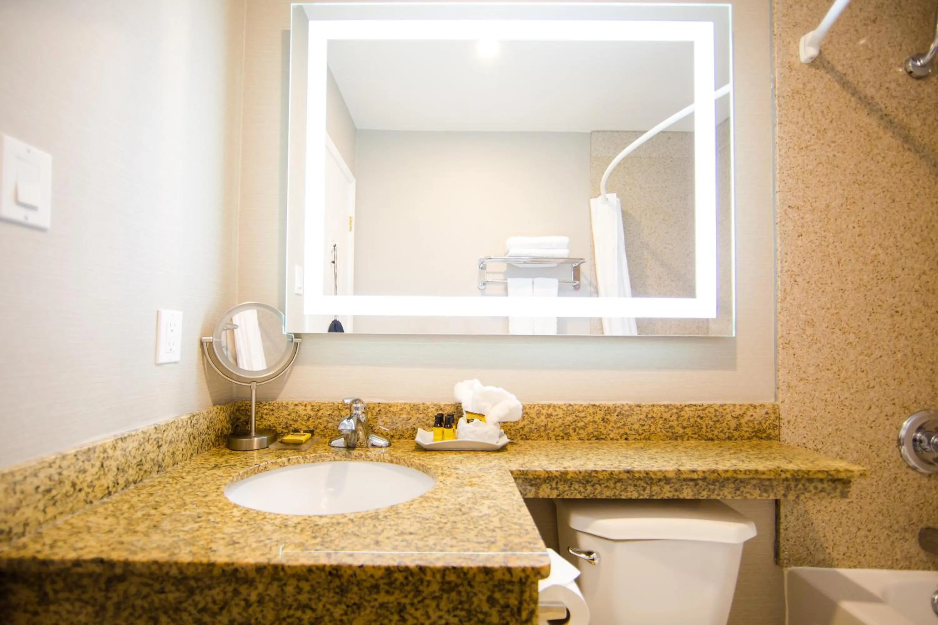 Bathroom in Best Western Plus Ottawa Kanata Hotel and Conference Centre