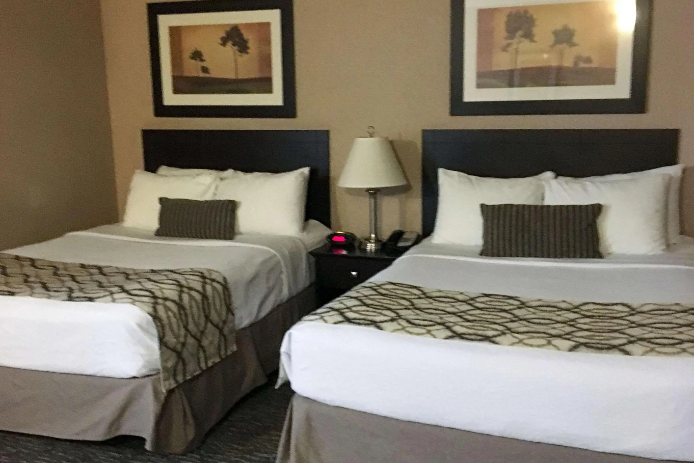 Bedroom, Bed in Radisson Hotel & Conference Centre Edmonton