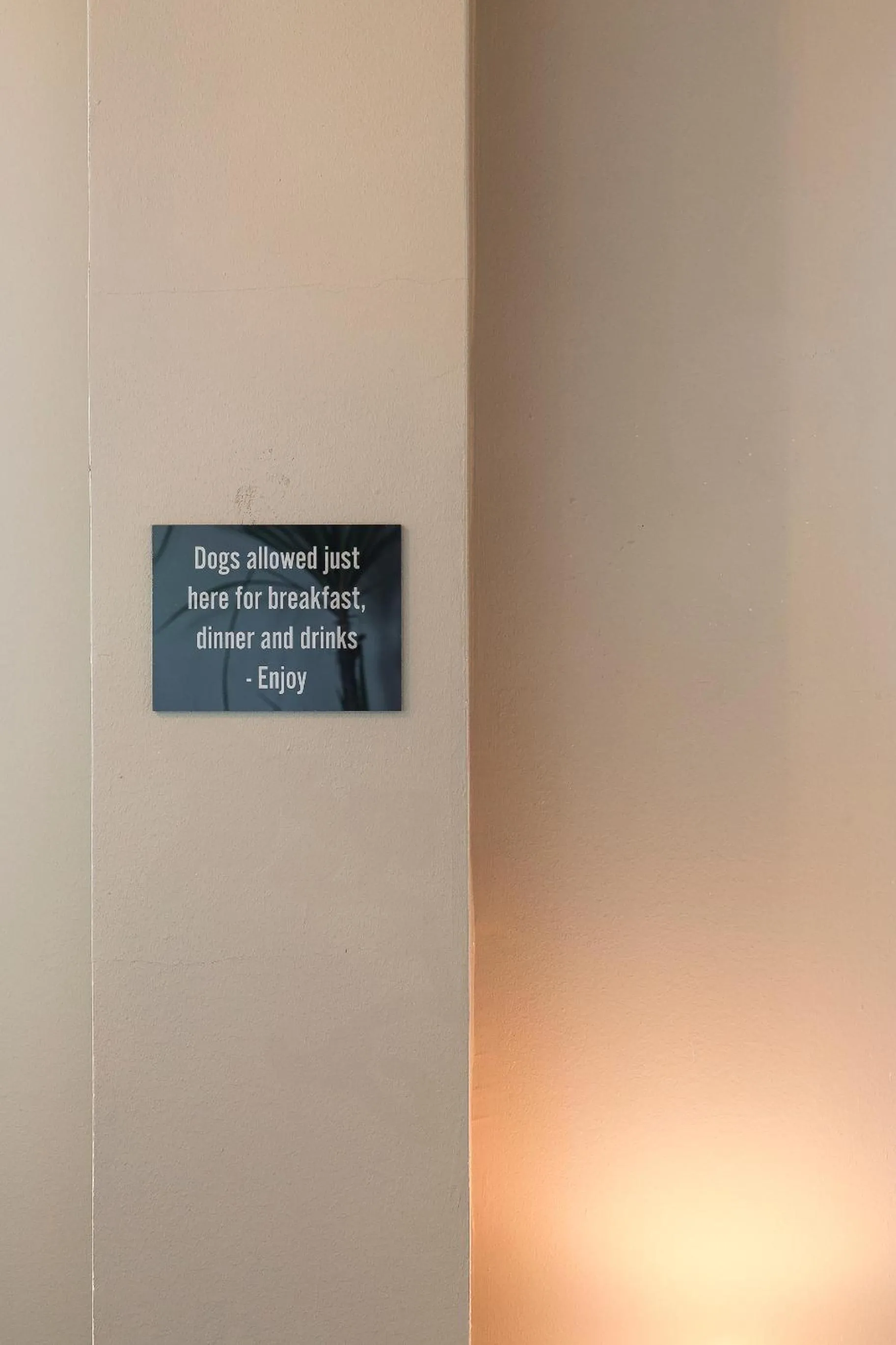 pet friendly in Comfort Hotel Sundsvall