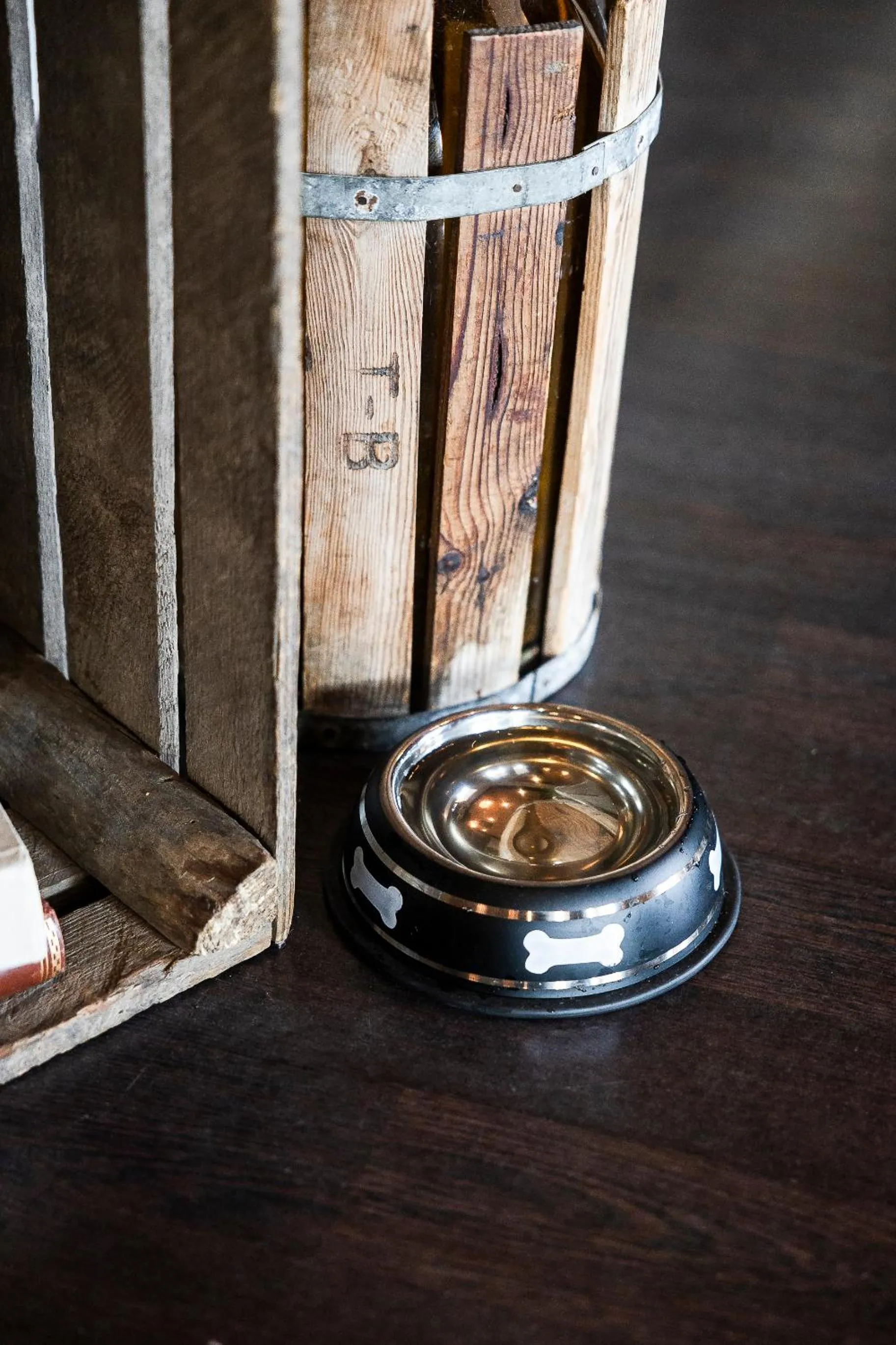 pet friendly in Comfort Hotel Sundsvall