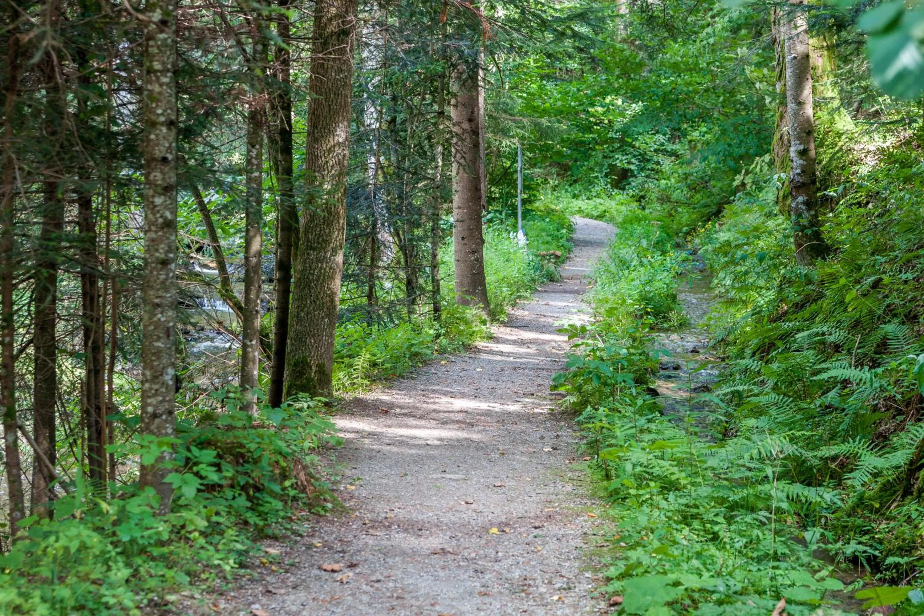 Natural landscape in Florianihof
