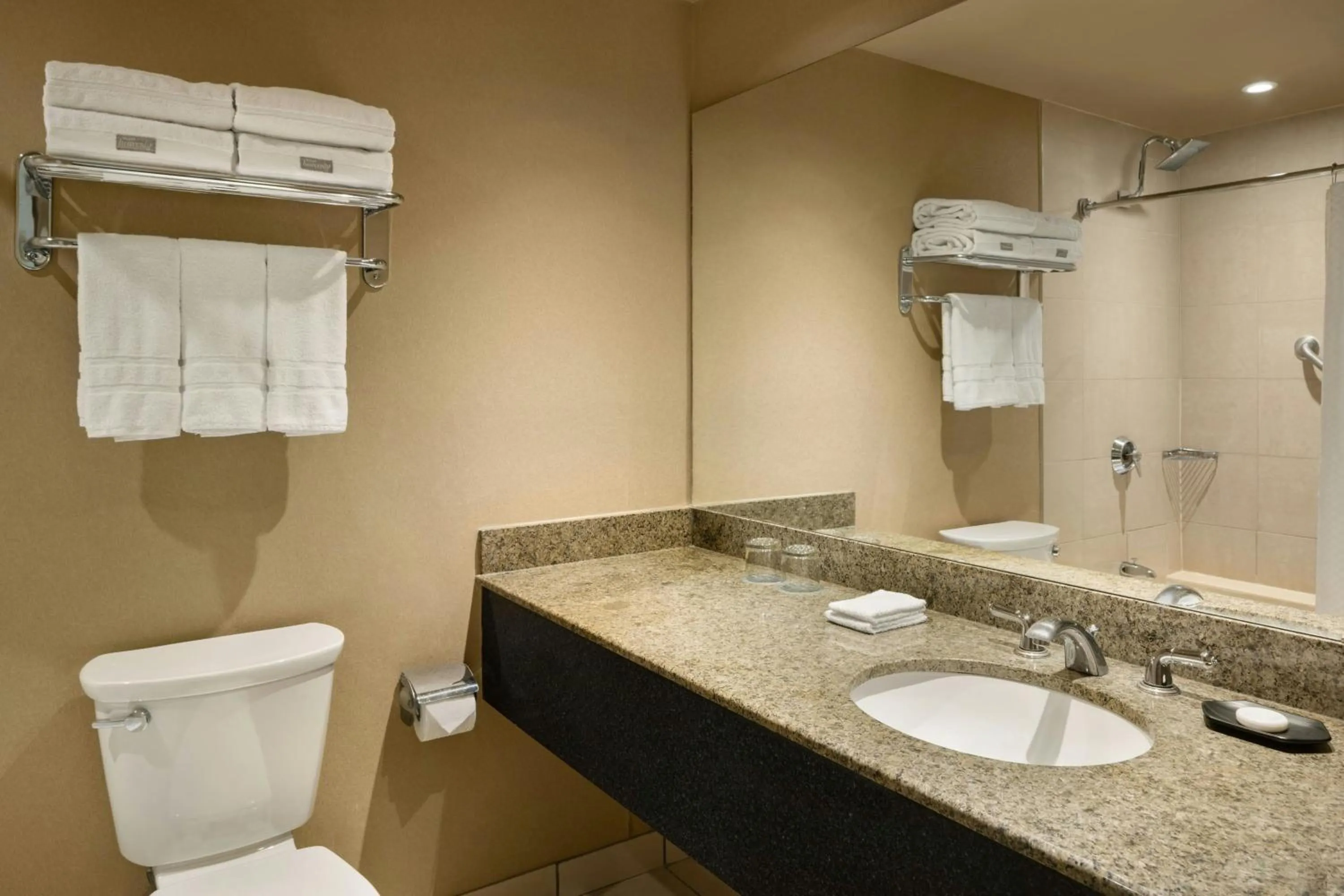 Bathroom in The Westin Edmonton