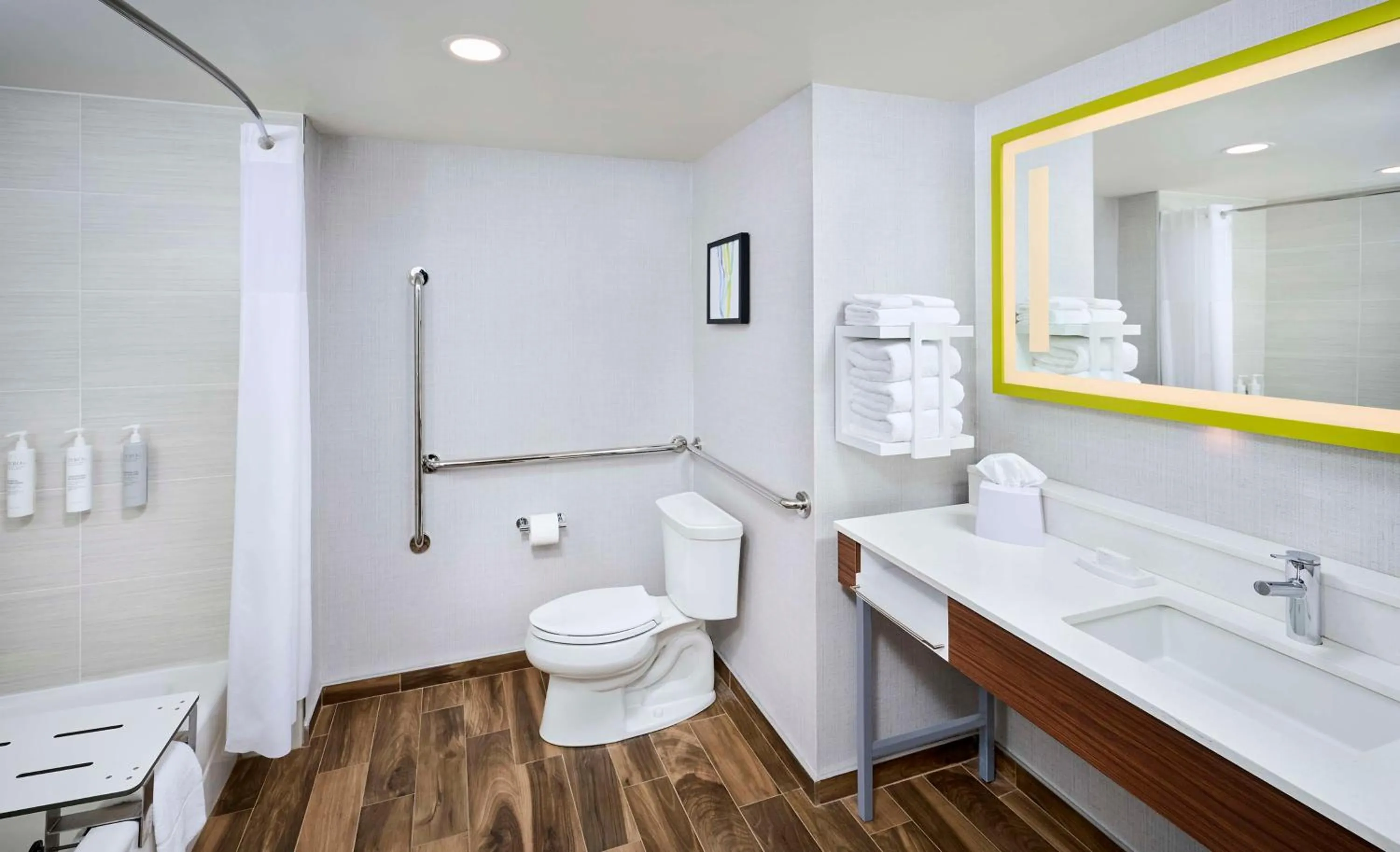 Bathroom in Hampton Inn & Suites by Hilton Windsor