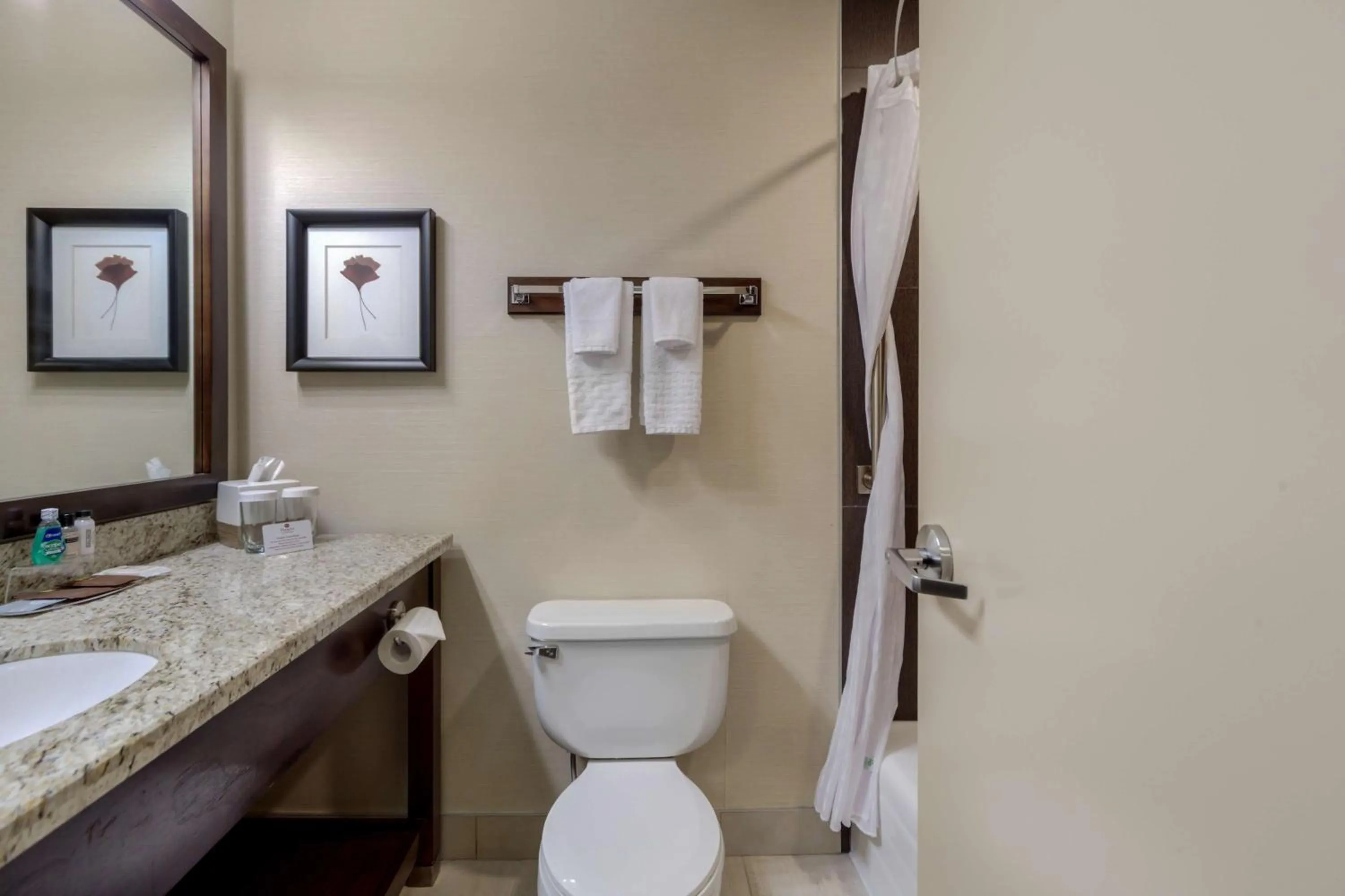Bathroom in Best Western Premier Denham Inn & Suites