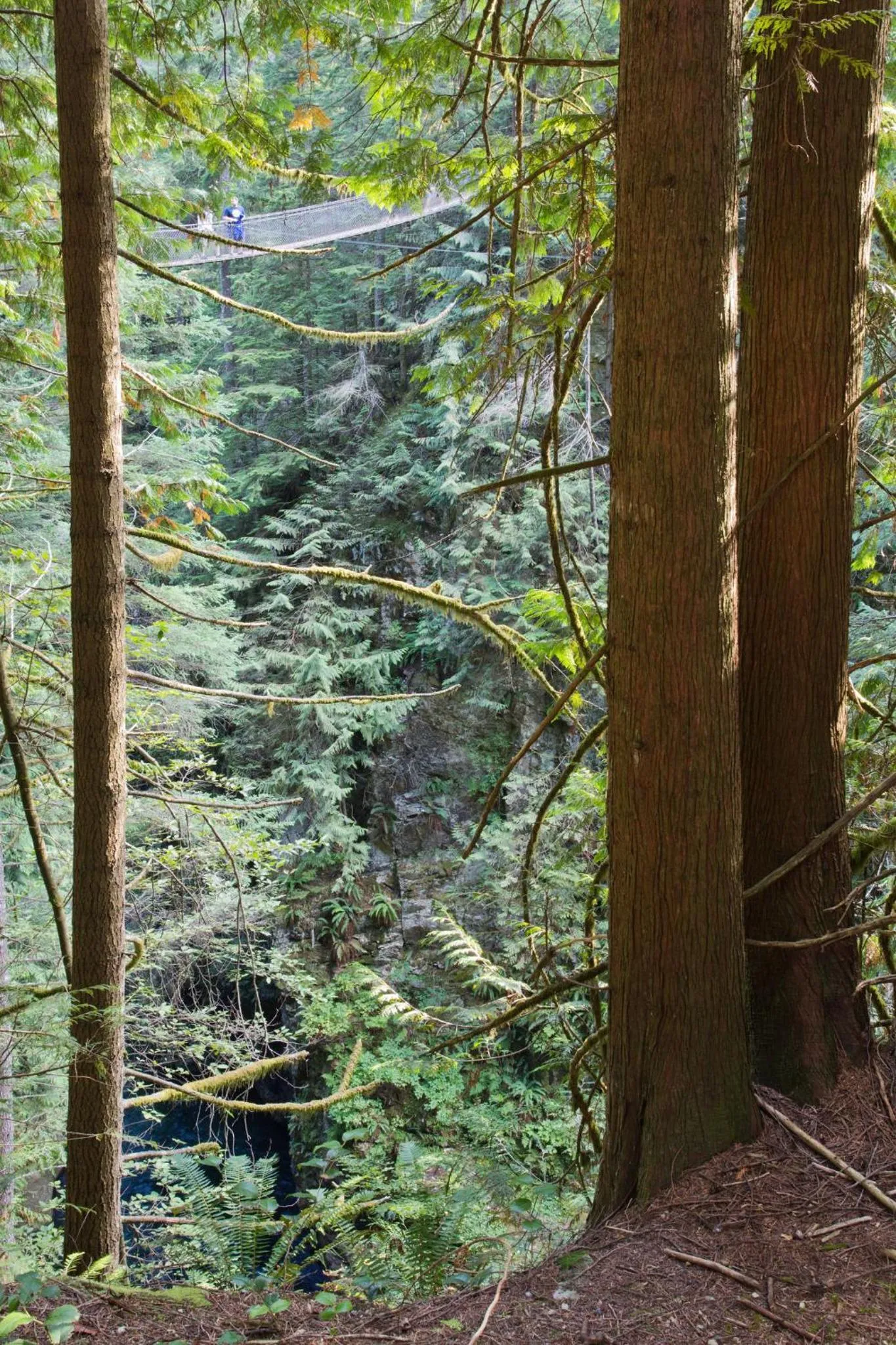 Other in Holiday Inn & Suites North Vancouver by IHG