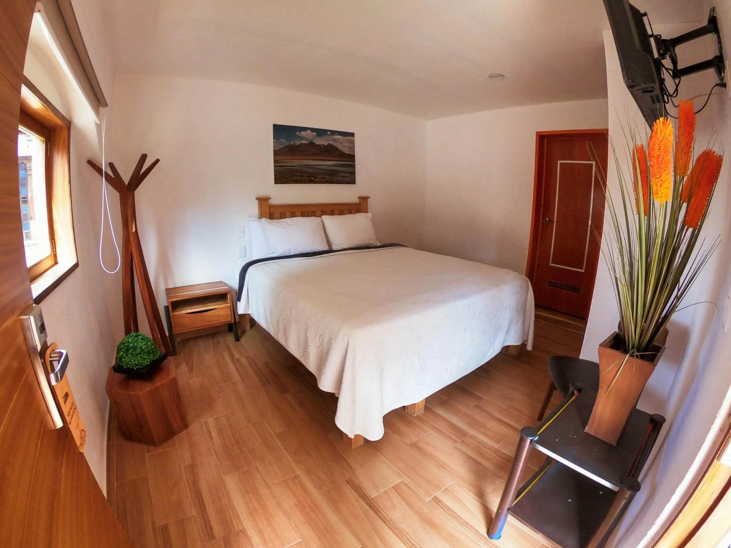 Bed in Real Carretero