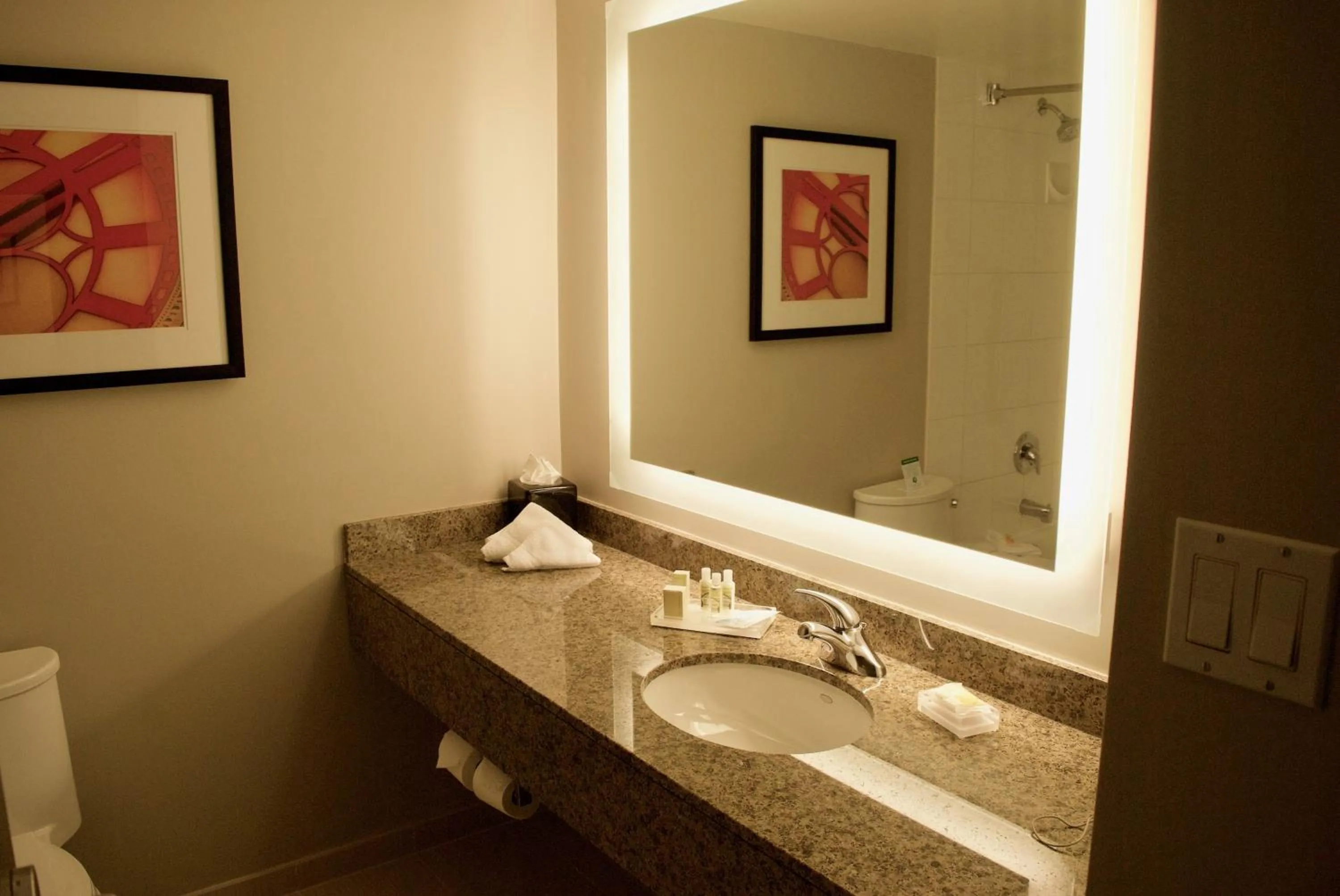 Bathroom in Holiday Inn Vancouver Airport Richmond by IHG