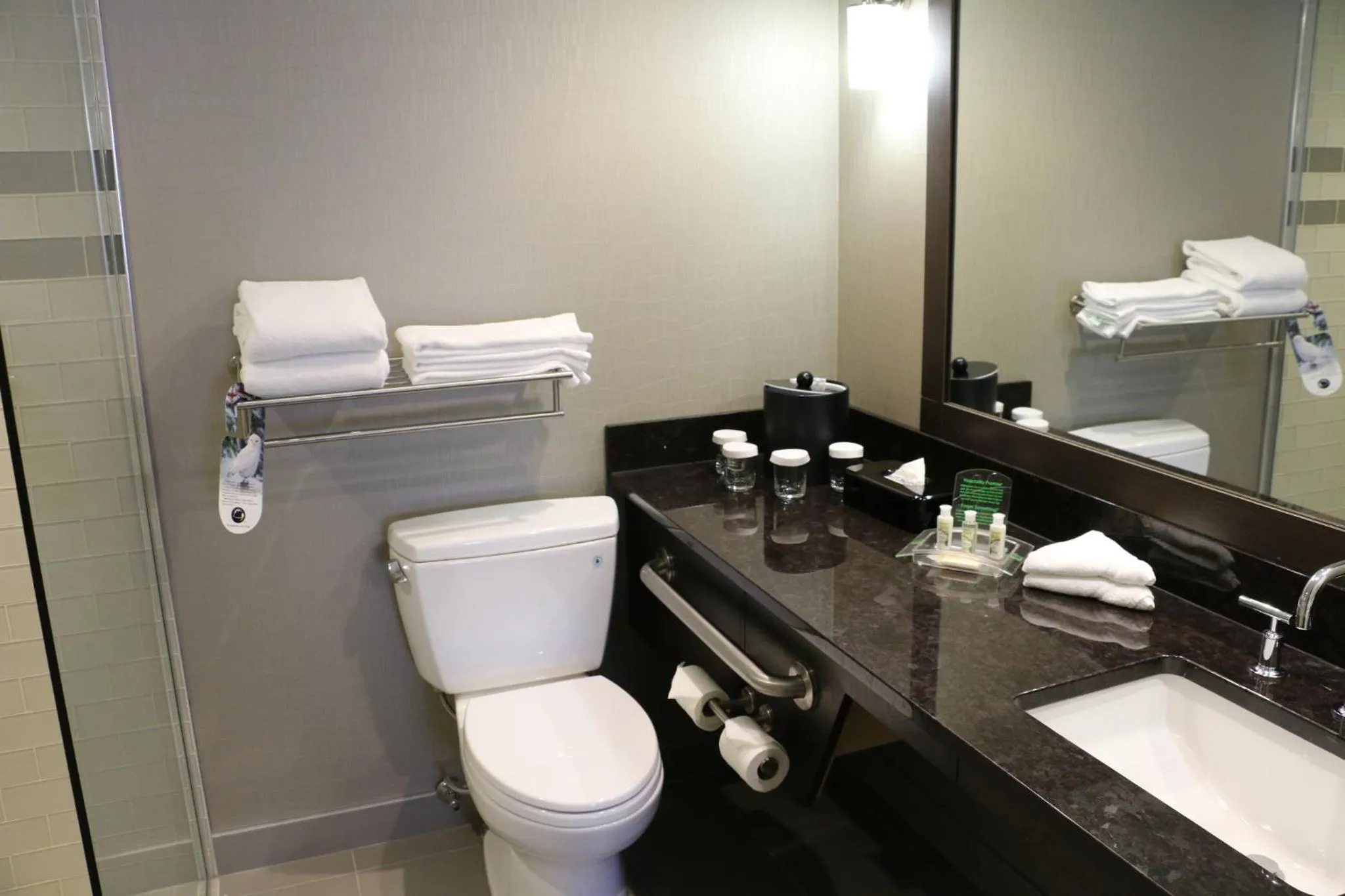 Bathroom in Holiday Inn Calgary Airport by IHG