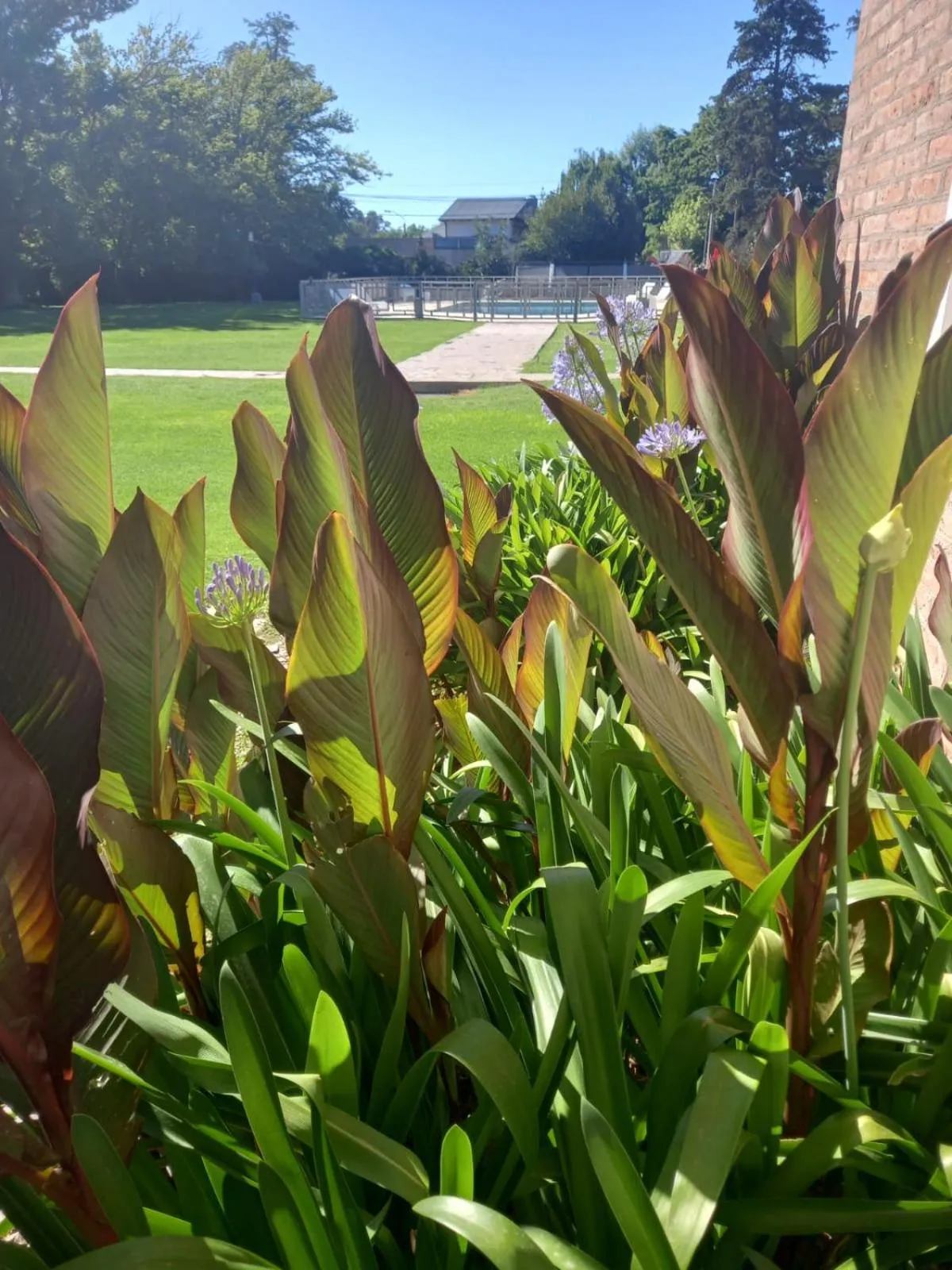 Los Robles Apart Hotel