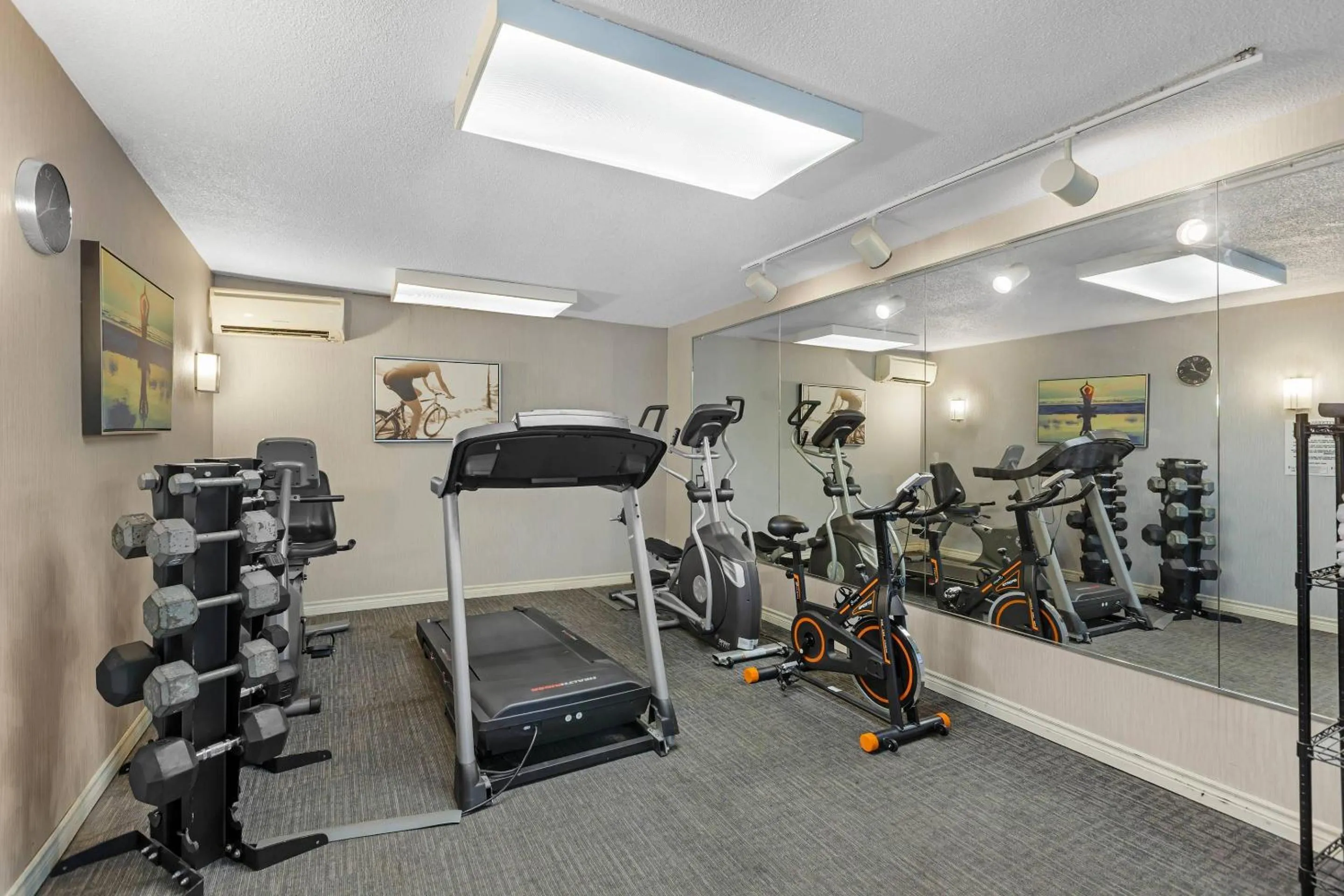 Fitness centre/facilities in Quality Inn & Suites 5585 Ambler Drive Mississauga Ontario