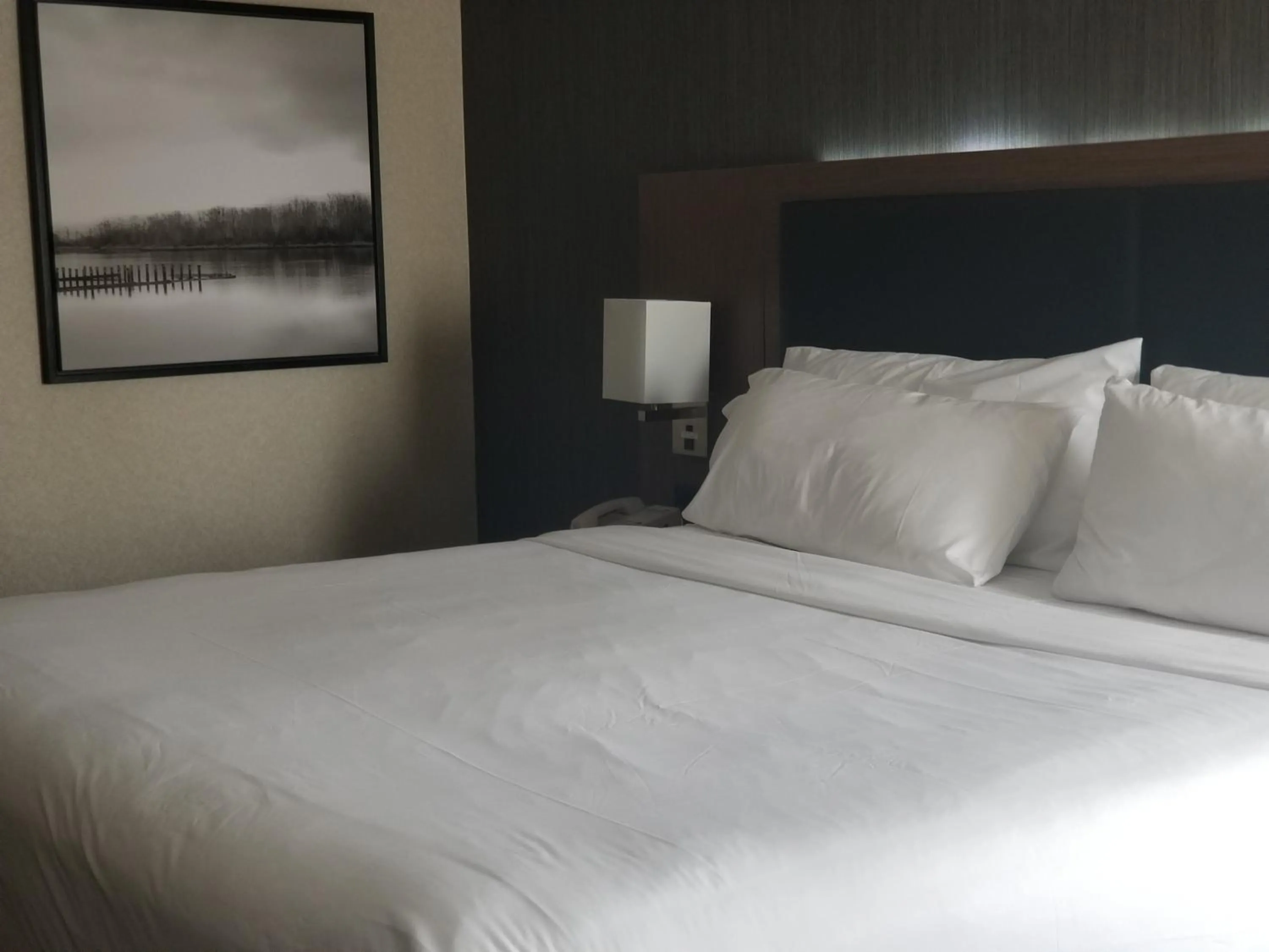 Bed in Holiday Inn Express Edmonton Downtown by IHG