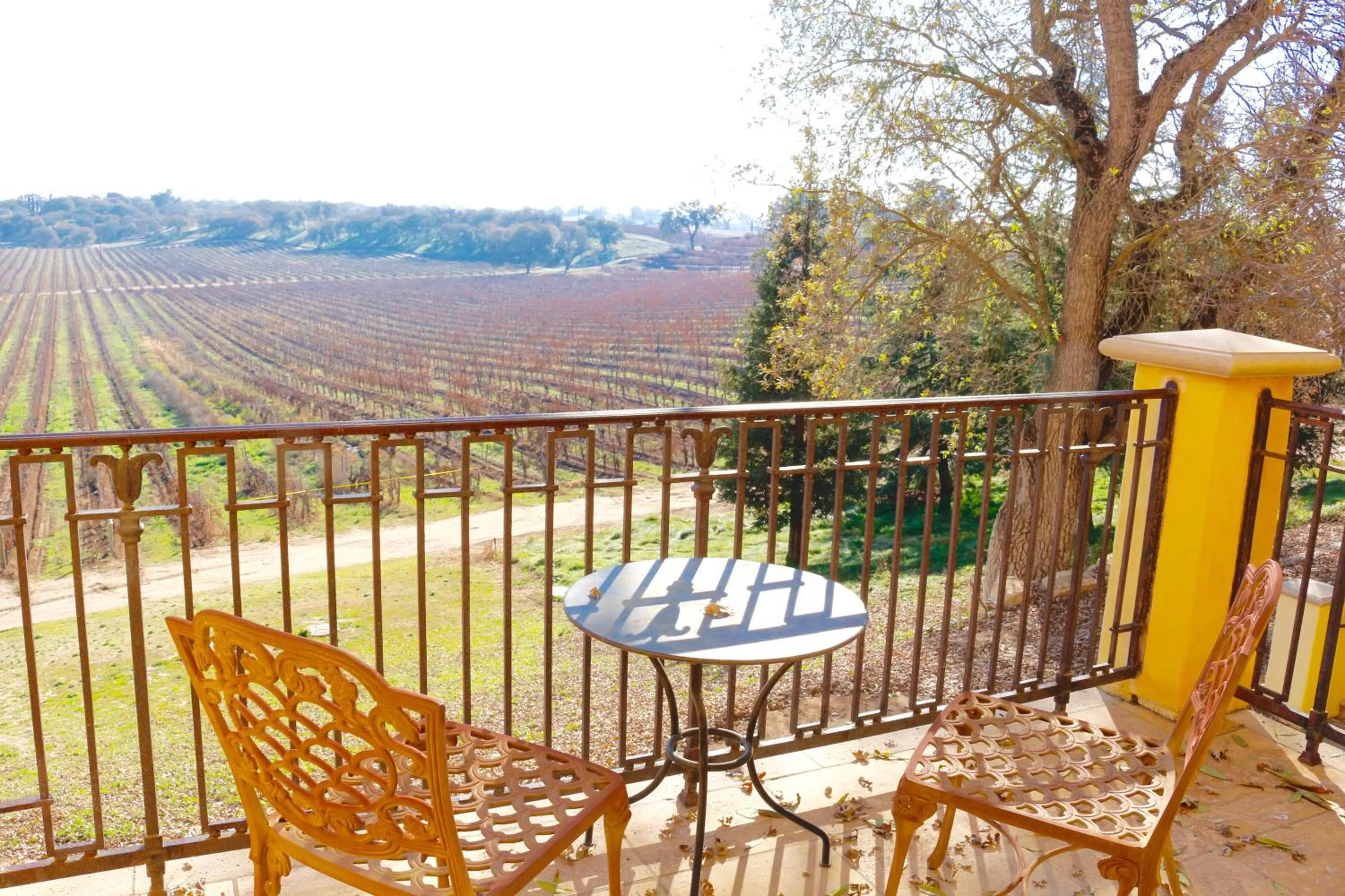 Patio in CaliPaso Winery & Villa