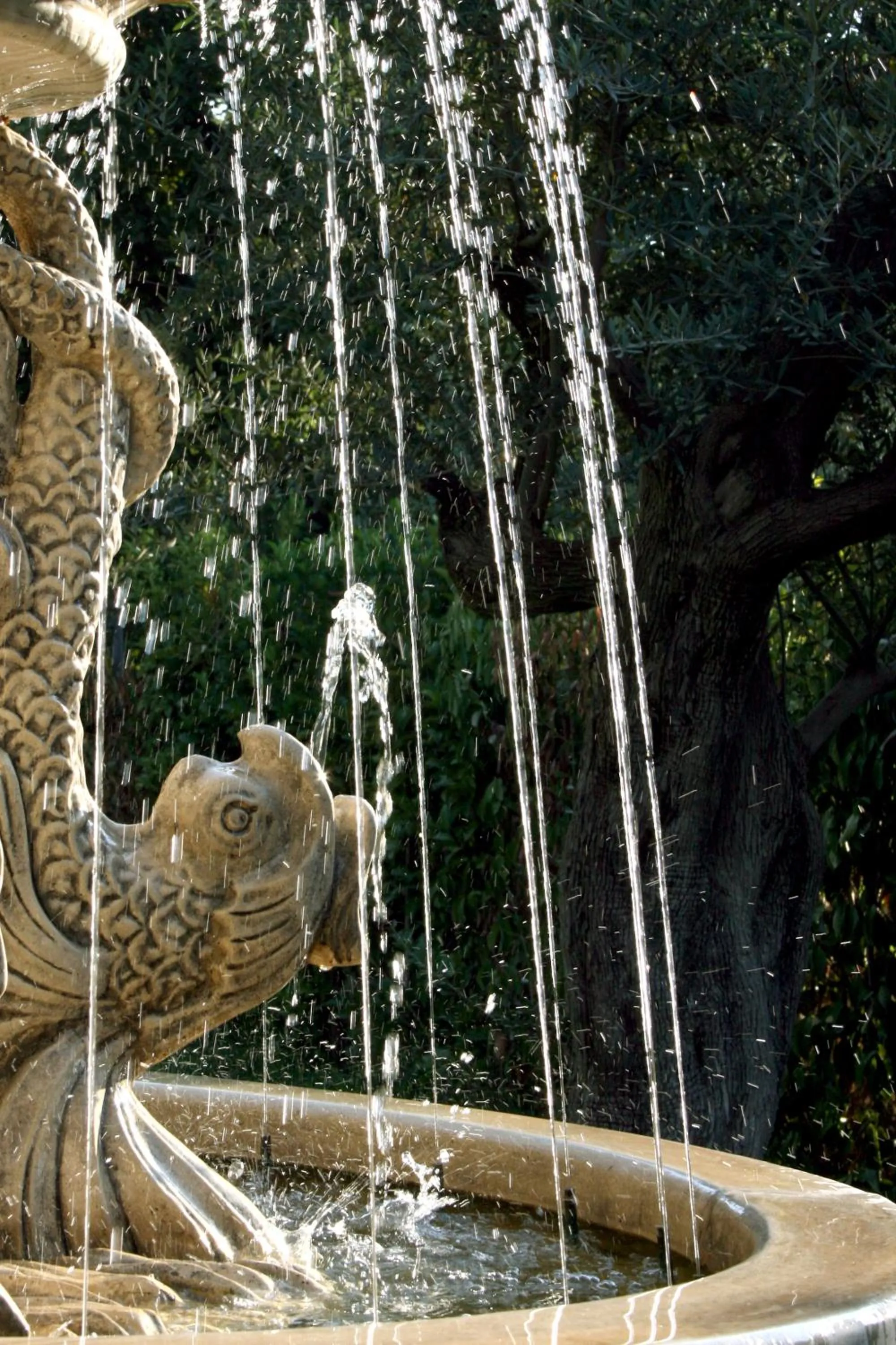 Garden in Residence Domus Cilento