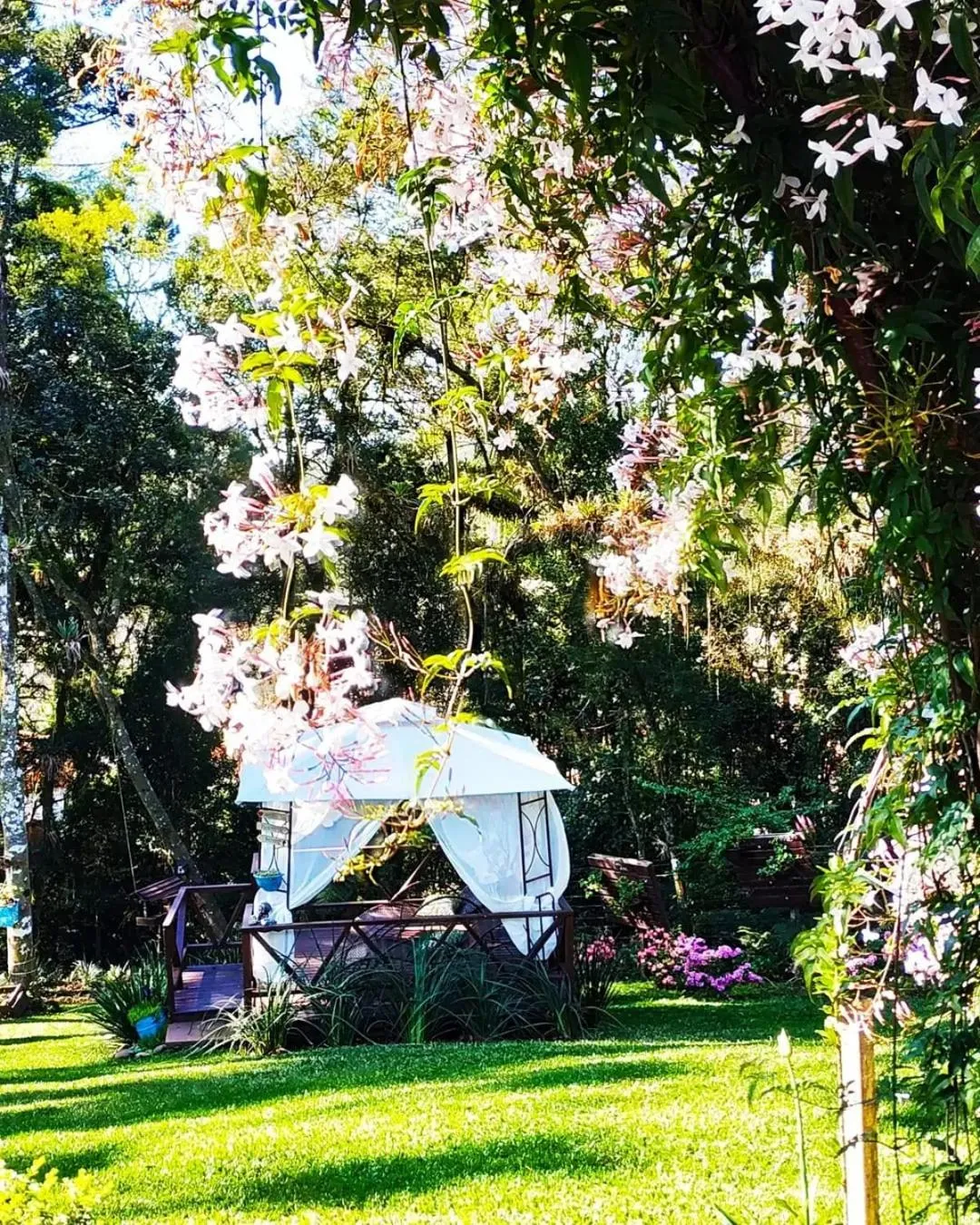 Garden in Chalé Temático em Pipa de Vinho - Parada da Pipa Chalés