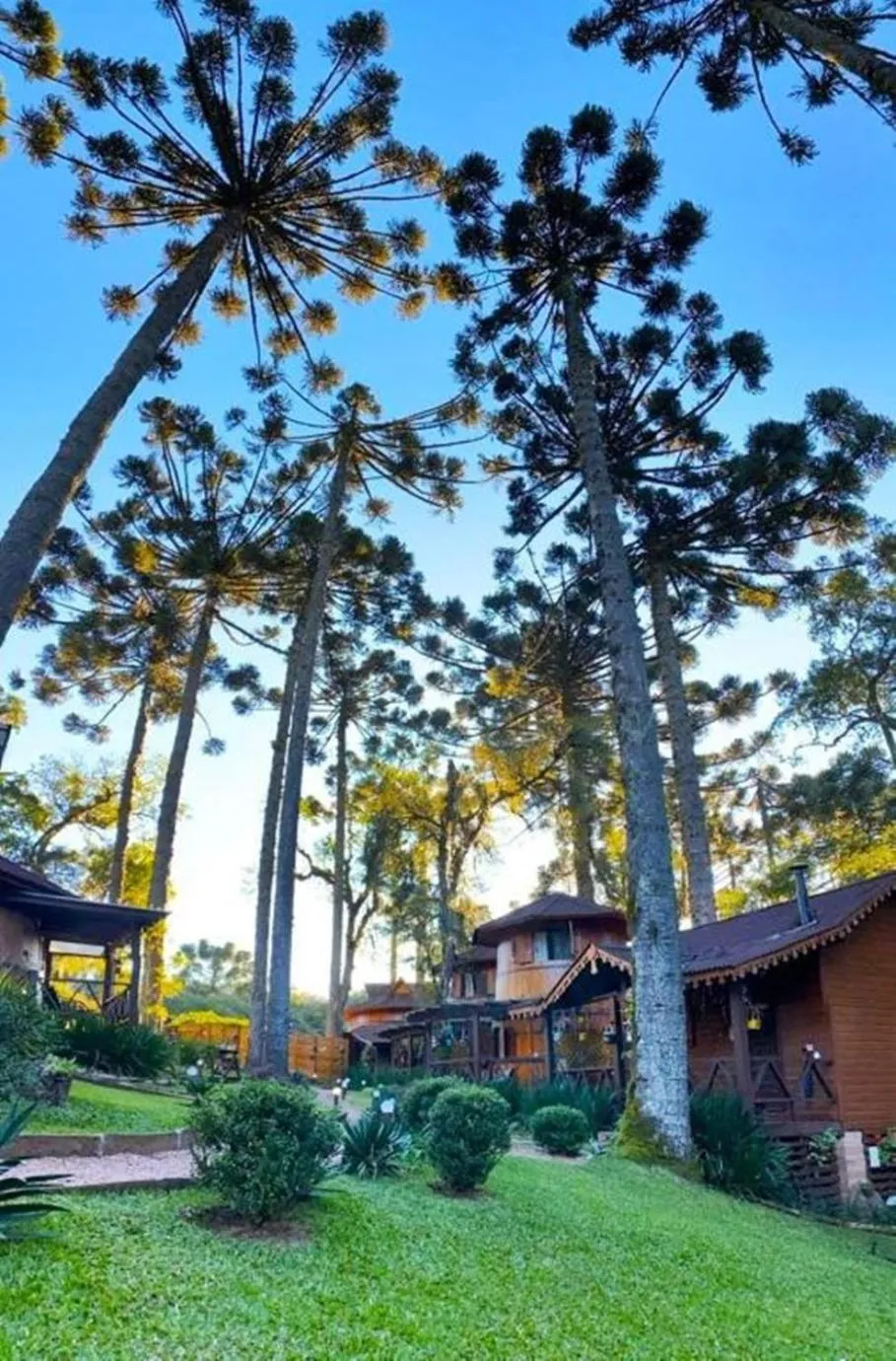 View (from property/room) in Chalé Temático em Pipa de Vinho - Parada da Pipa Chalés