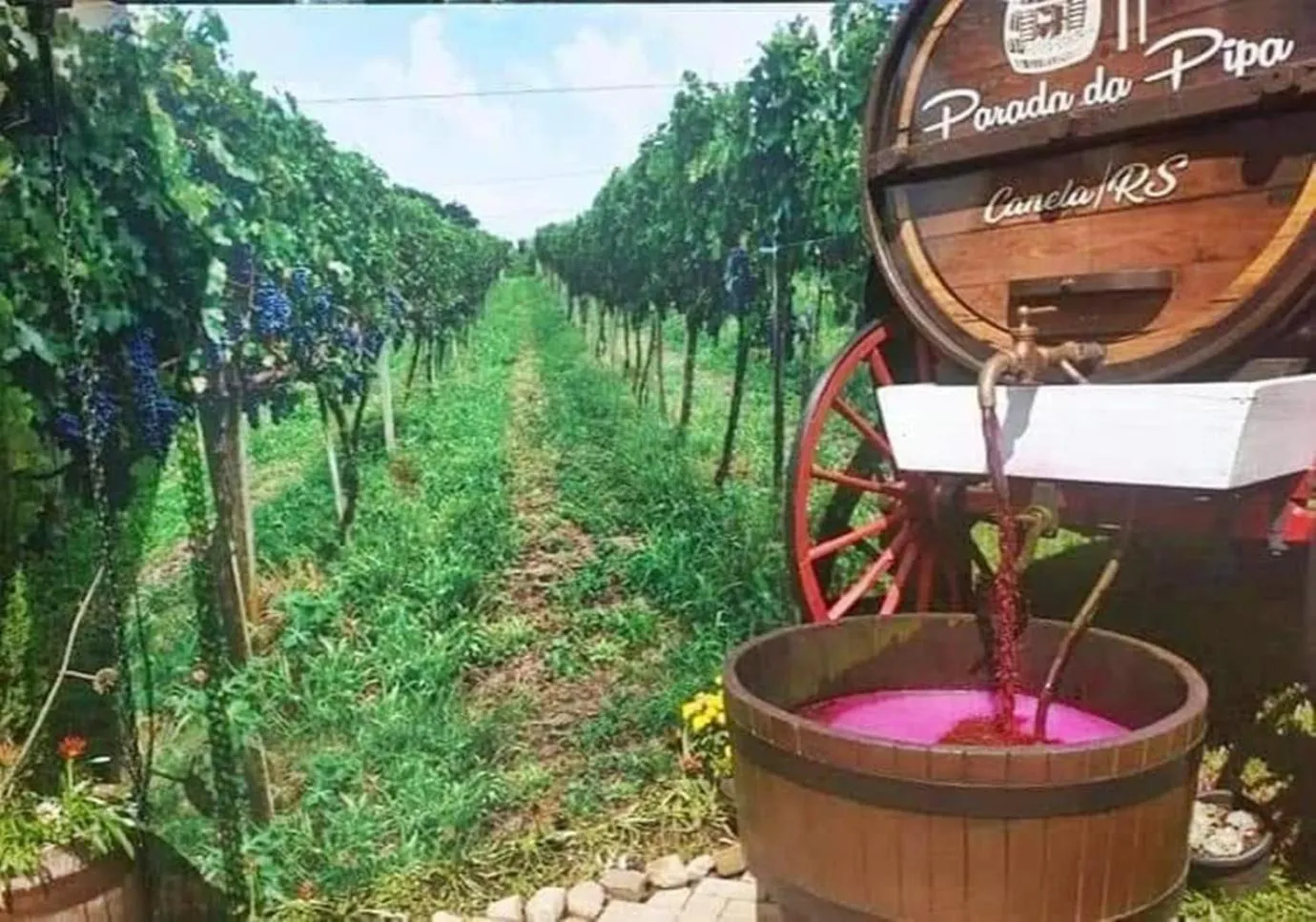 On-site shops in Chalé Temático em Pipa de Vinho - Parada da Pipa Chalés