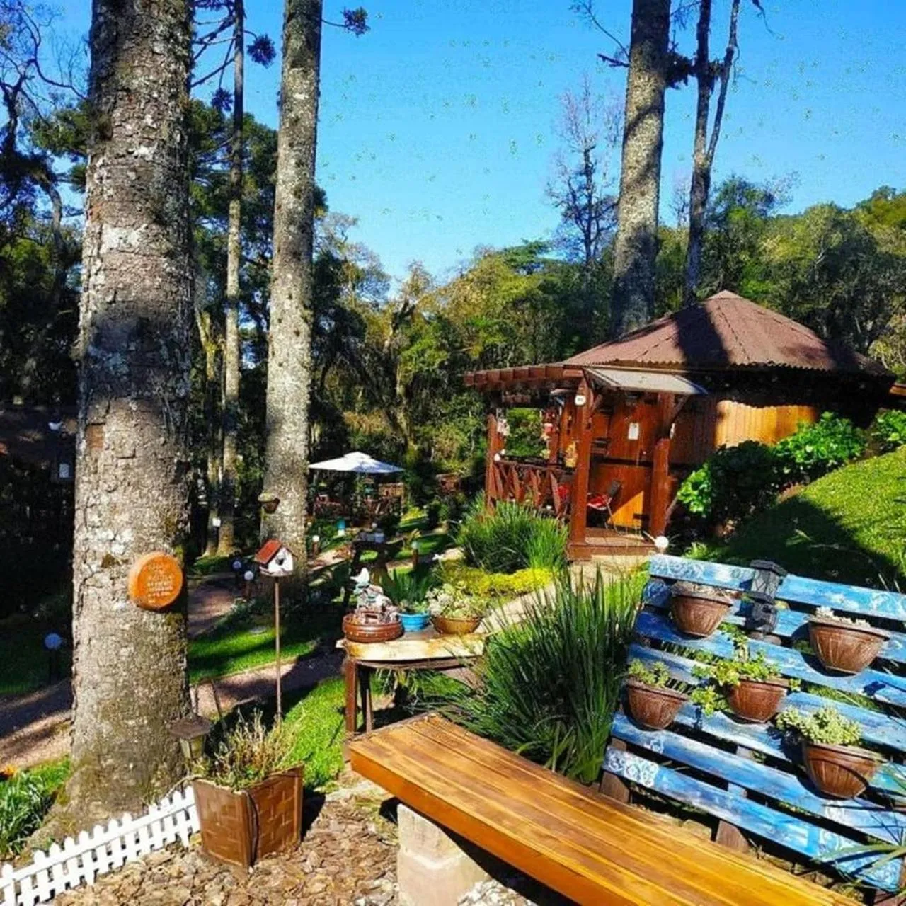 Garden in Chalé Temático em Pipa de Vinho - Parada da Pipa Chalés