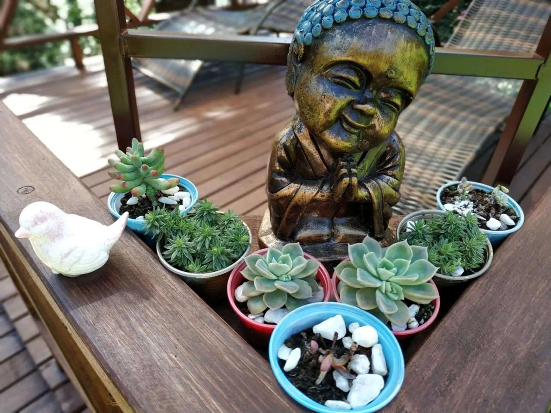 Garden view in Chalé Temático em Pipa de Vinho - Parada da Pipa Chalés