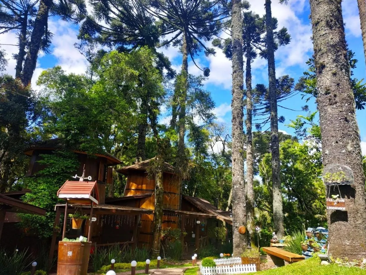 Seating area in Chalé Temático em Pipa de Vinho - Parada da Pipa Chalés