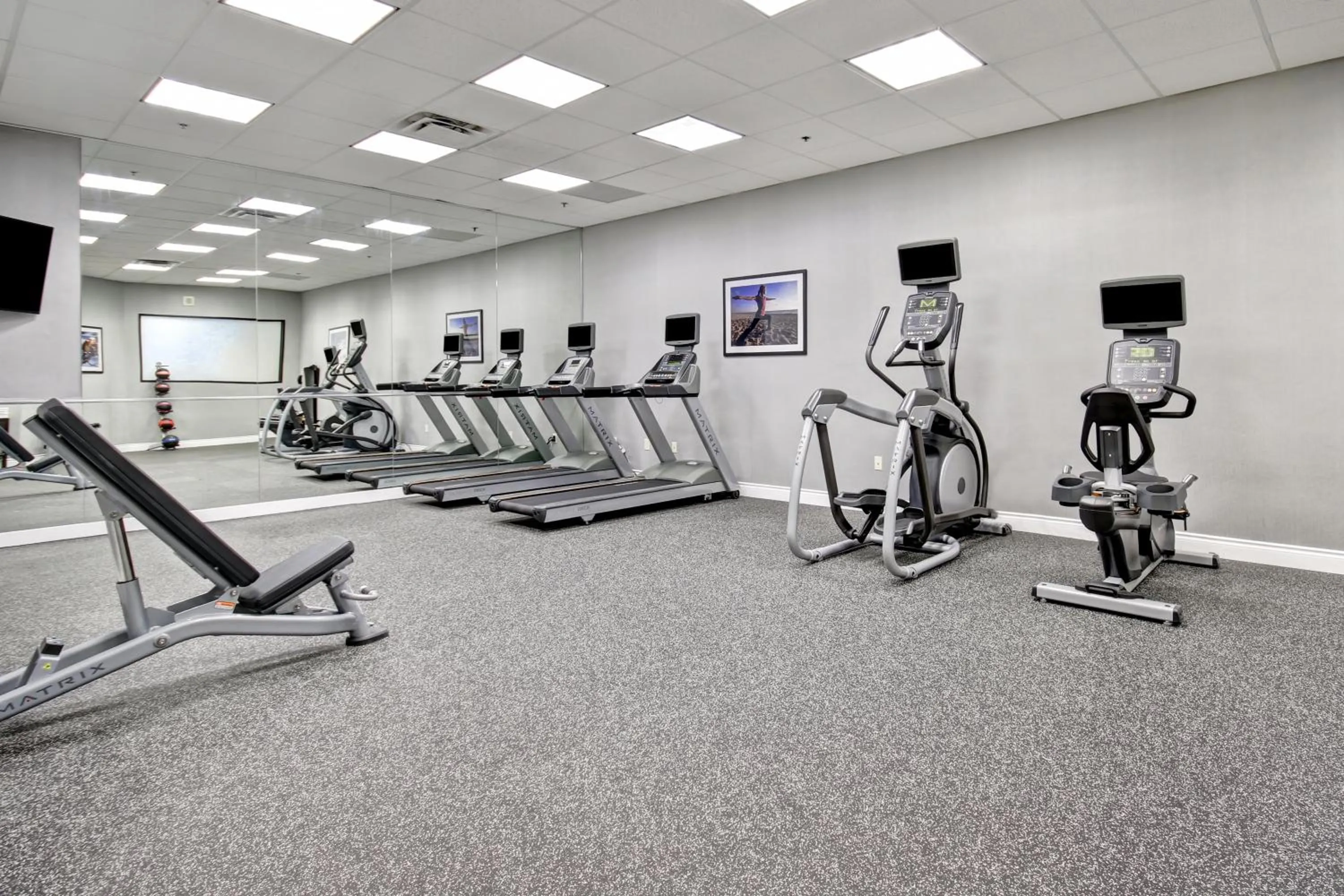Fitness centre/facilities in Holiday Inn Windsor - Ambassador Bridge by IHG