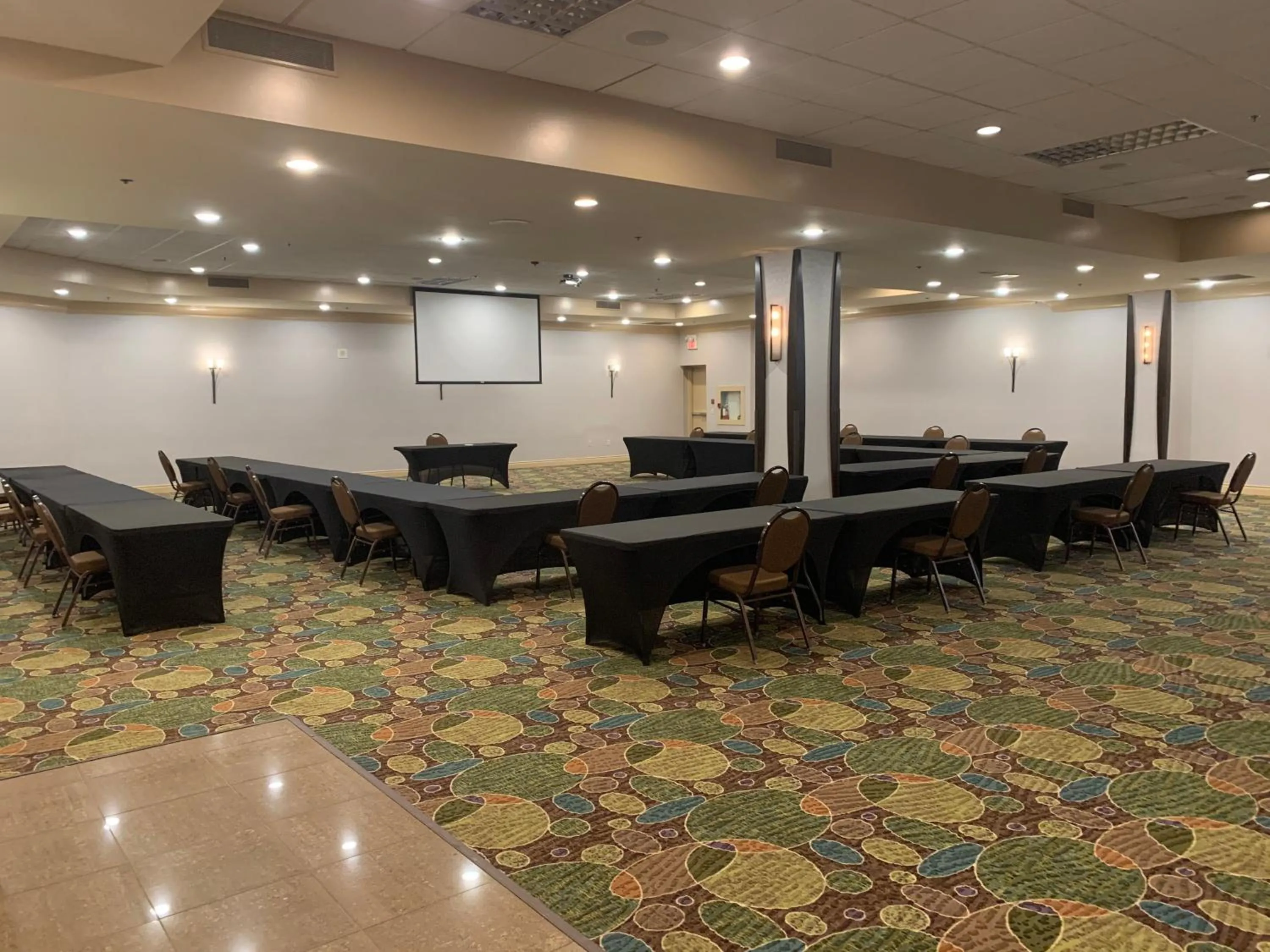 Meeting/conference room in Holiday Inn Windsor - Ambassador Bridge by IHG