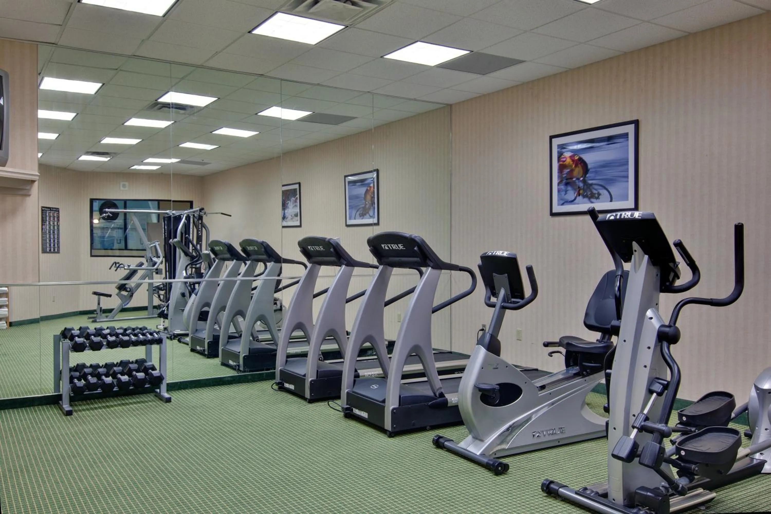 Fitness centre/facilities in Holiday Inn Windsor - Ambassador Bridge by IHG