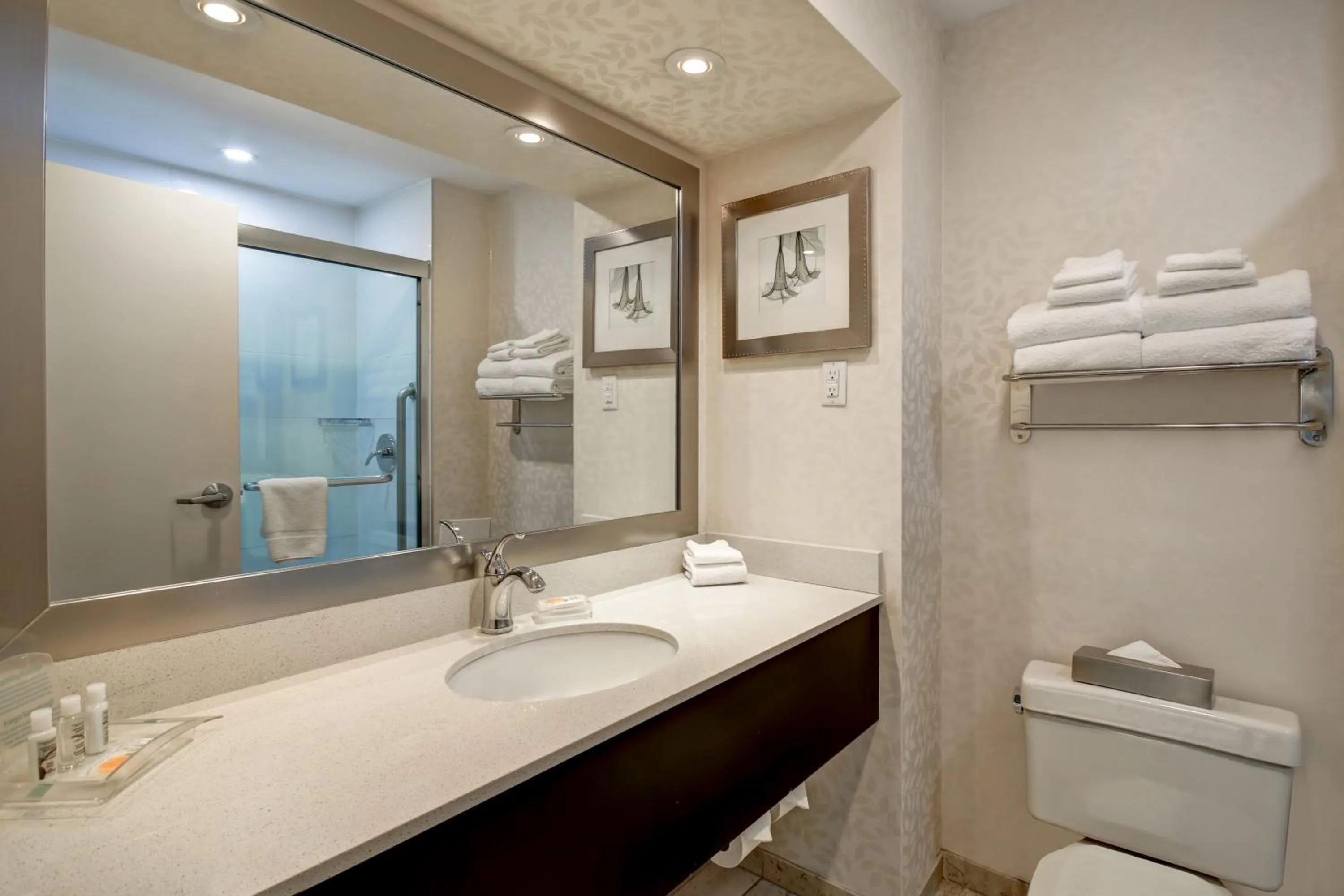 Bathroom in Holiday Inn Windsor - Ambassador Bridge by IHG