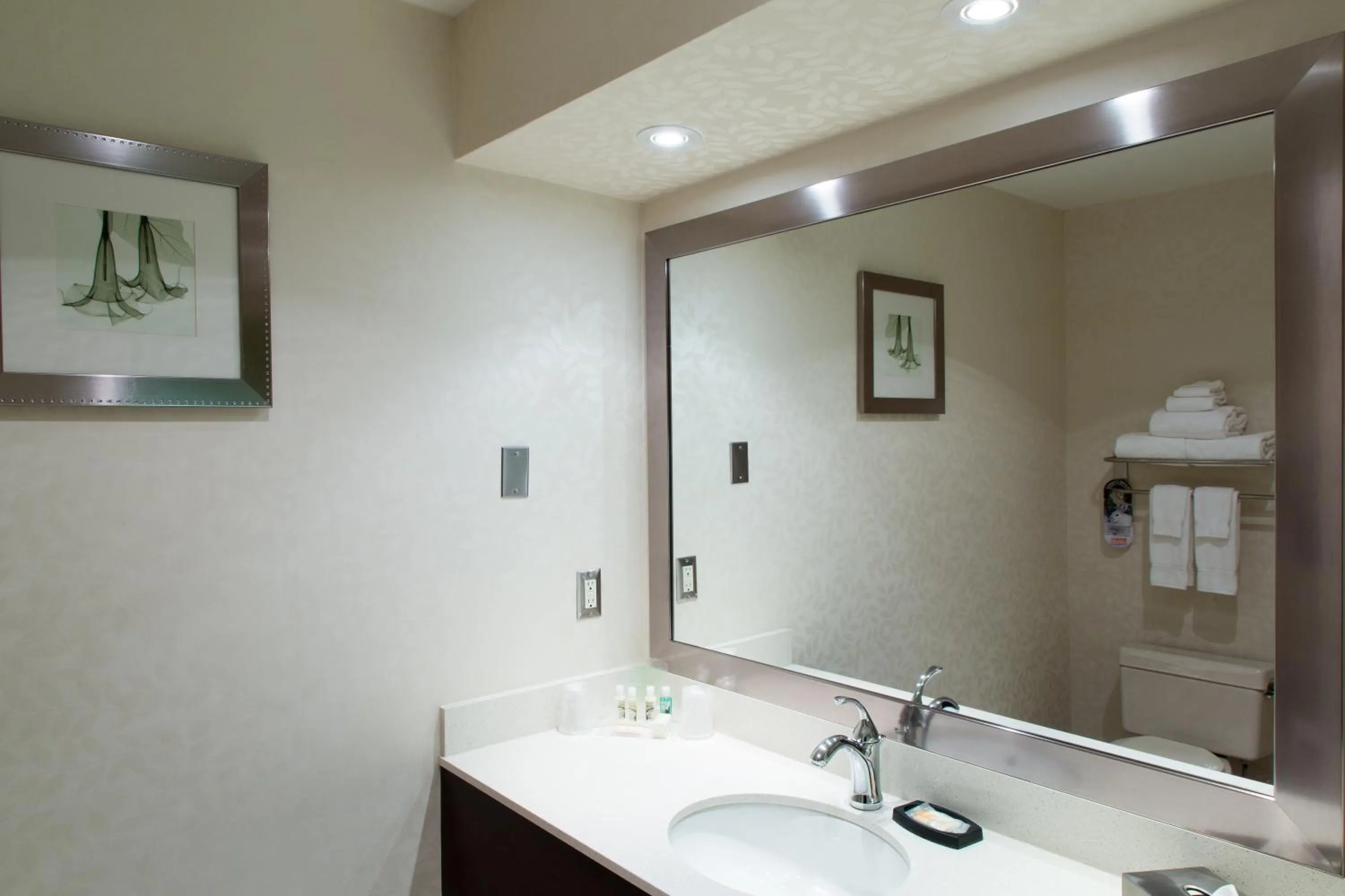 Bathroom in Holiday Inn Windsor - Ambassador Bridge by IHG
