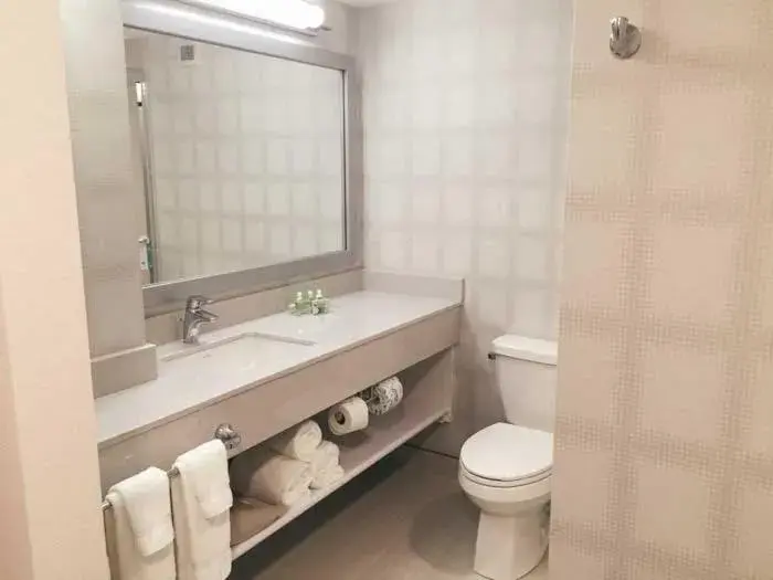 King Leisure Room - Non-Smoking in Holiday Inn Winnipeg - Airport West, an IHG Hotel King Leisure Room - Non-Smoking in Holiday Inn Winnipeg - Airport West, an IHG Hotel