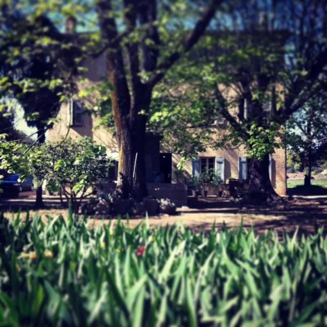 Garden in Le Bargidou