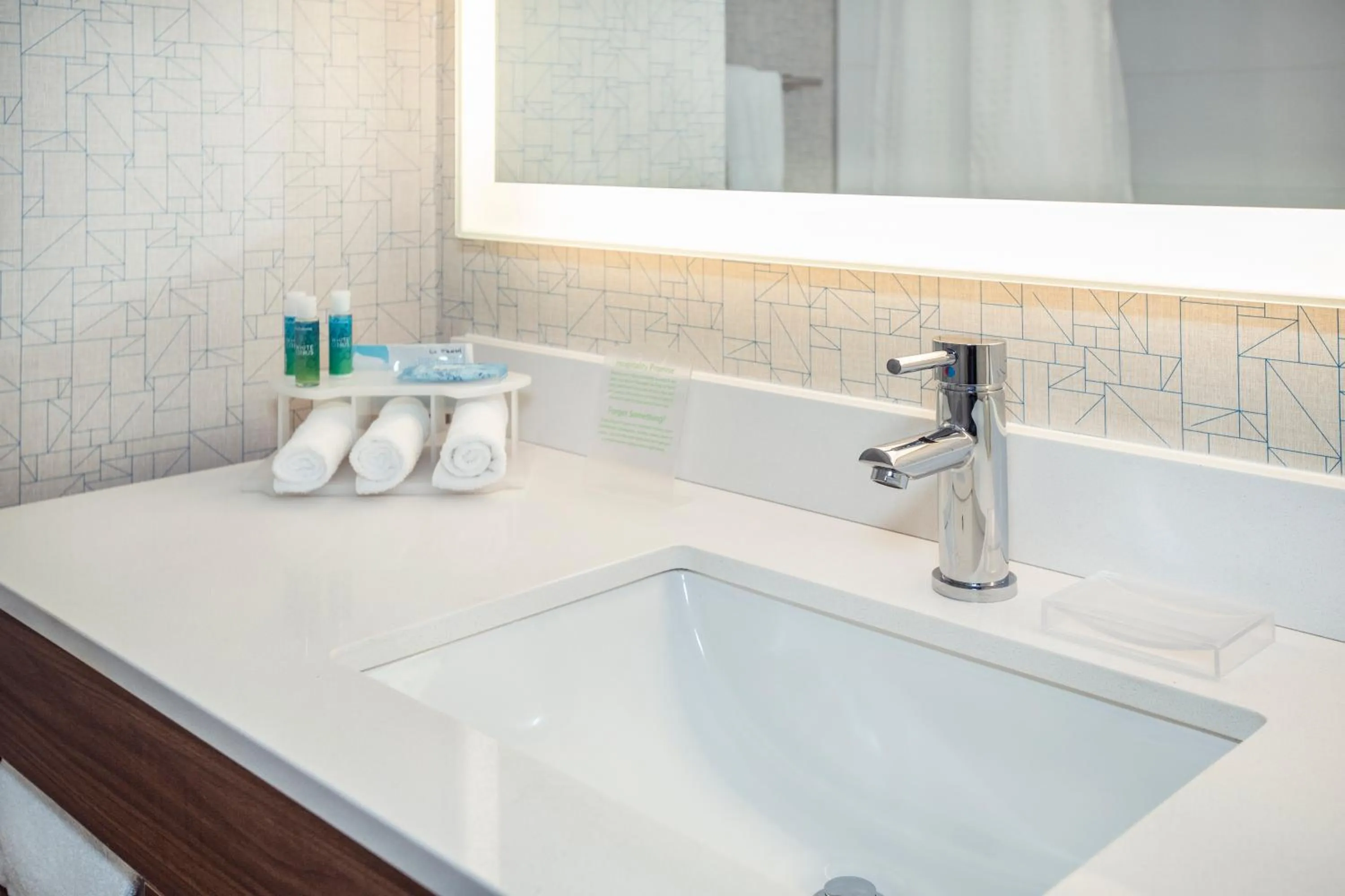 Bathroom in Holiday Inn Express & Suites Medicine Hat by IHG
