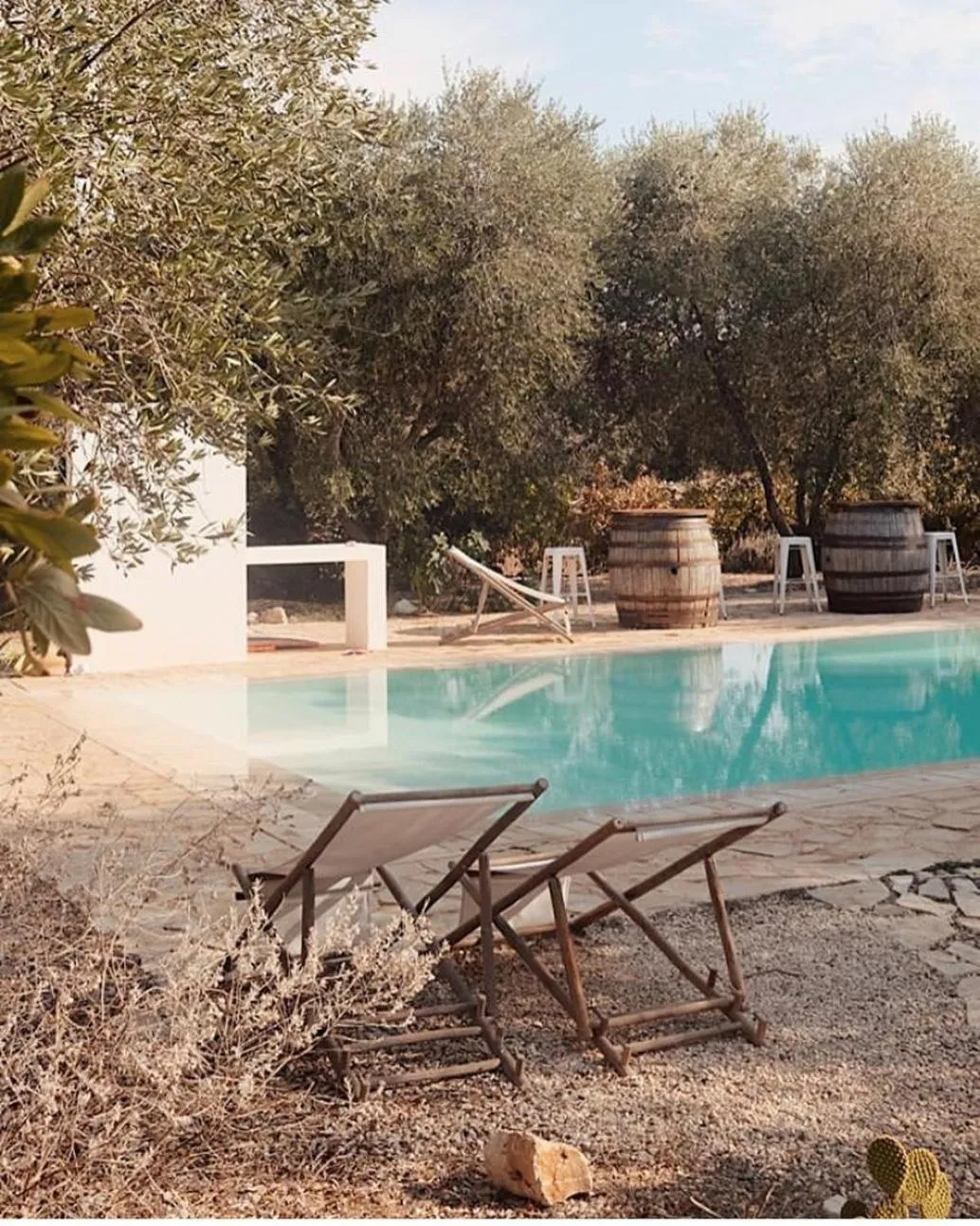 Fikus - the Apulian B&B