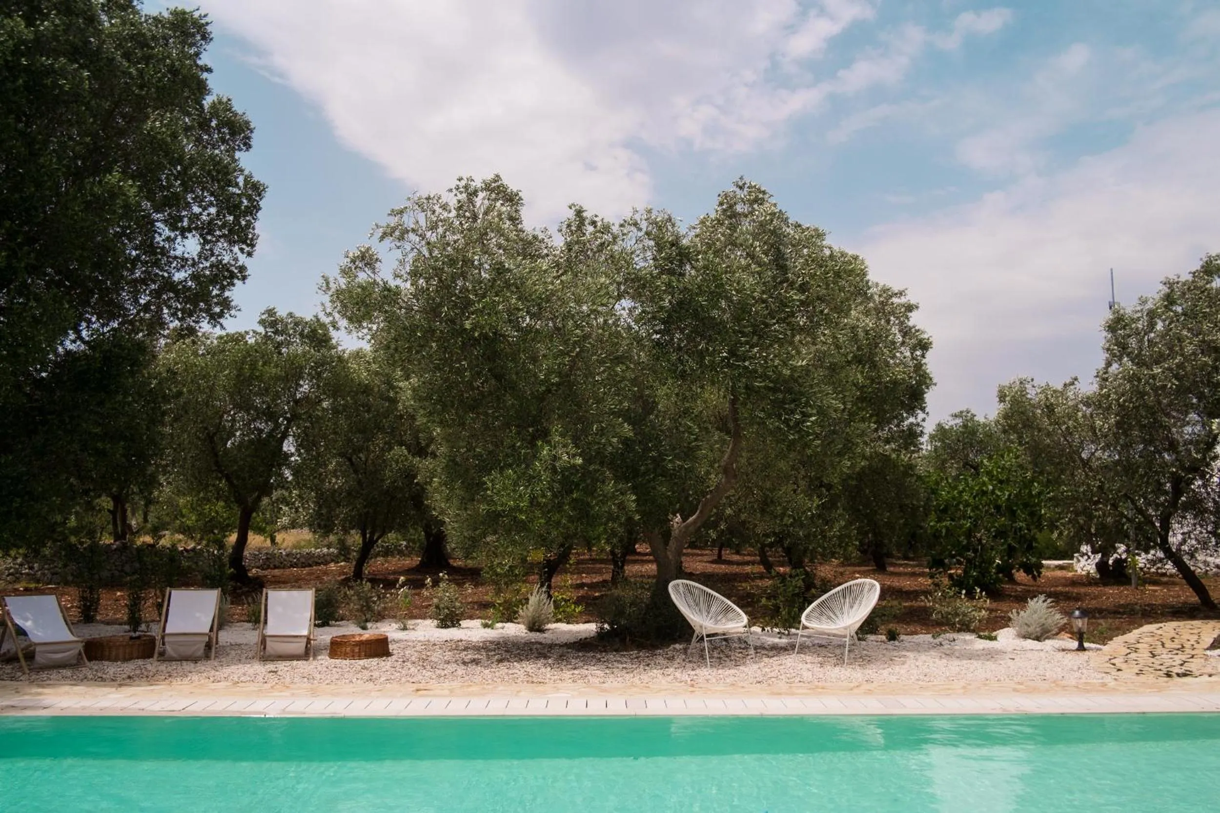 Pool view in Fikus - the Apulian B&B