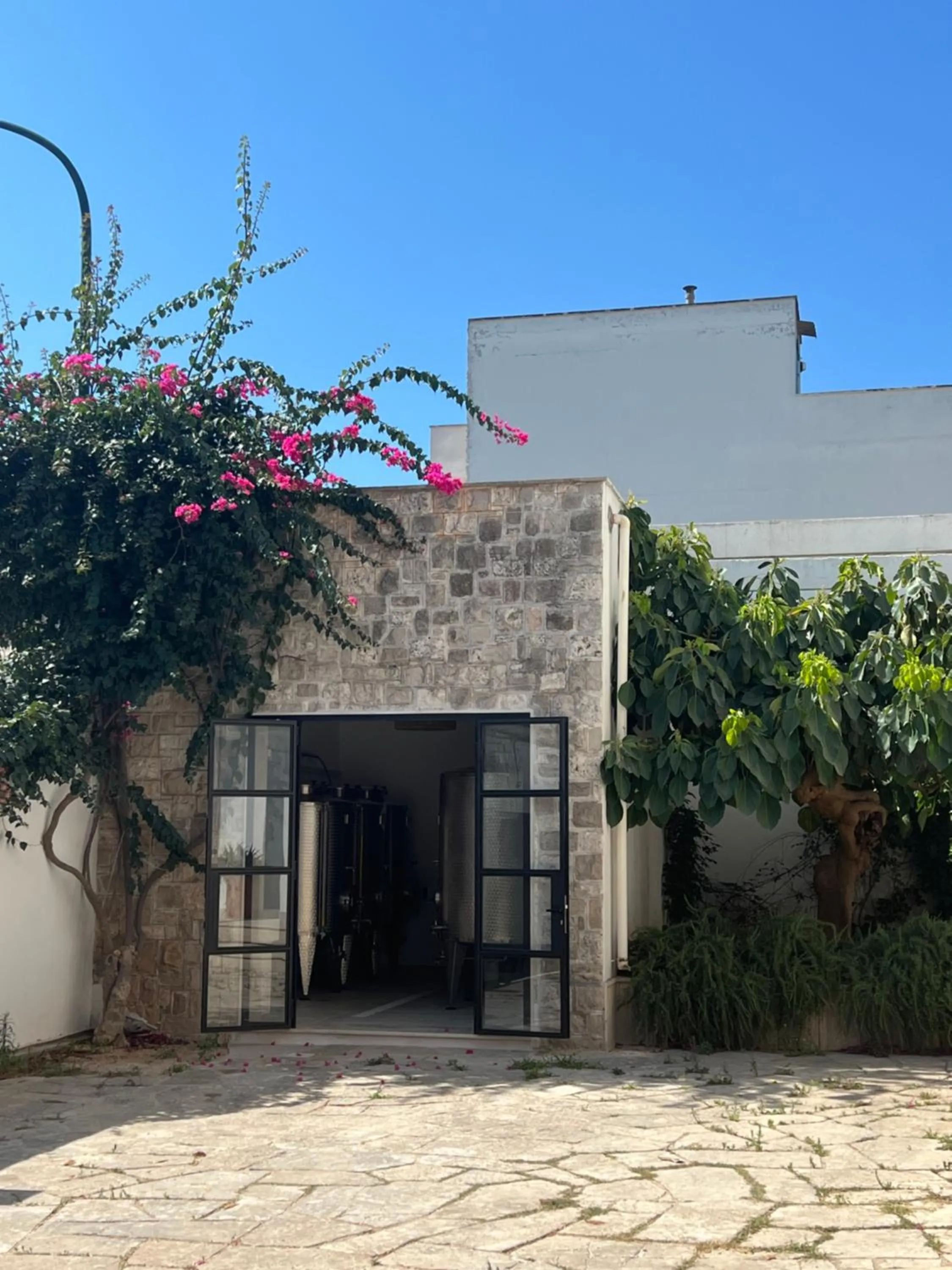 Garden in Canneddi Boutique Farm