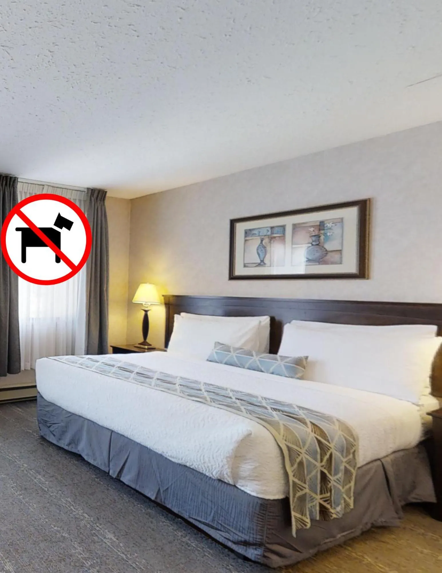 Standard Room, 1 Queen with Kitchenette (Non-Pet Friendly) in Dilworth Inn Kelowna
